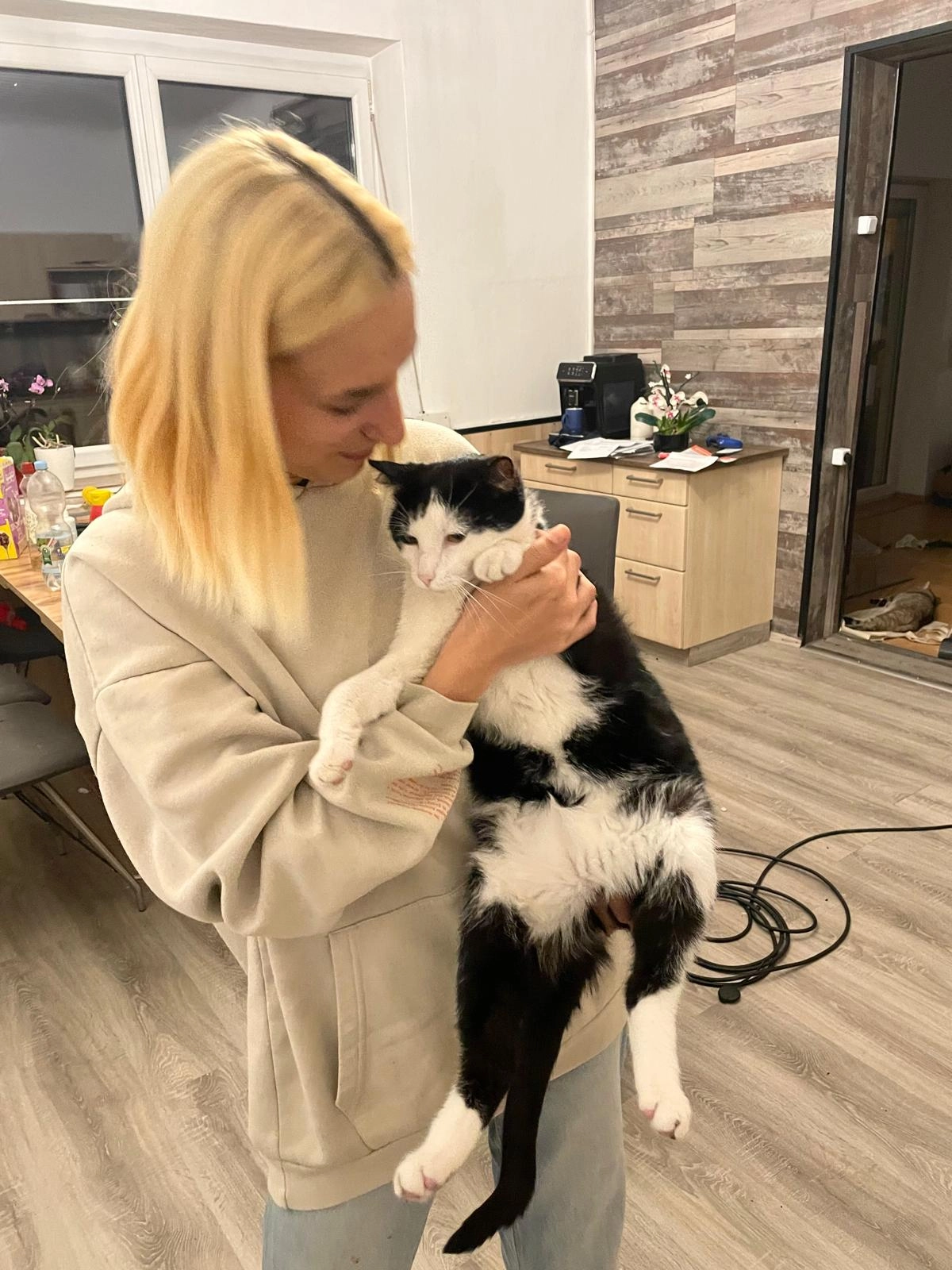 Ohnezahn - Sportplatzstraße, Köflach