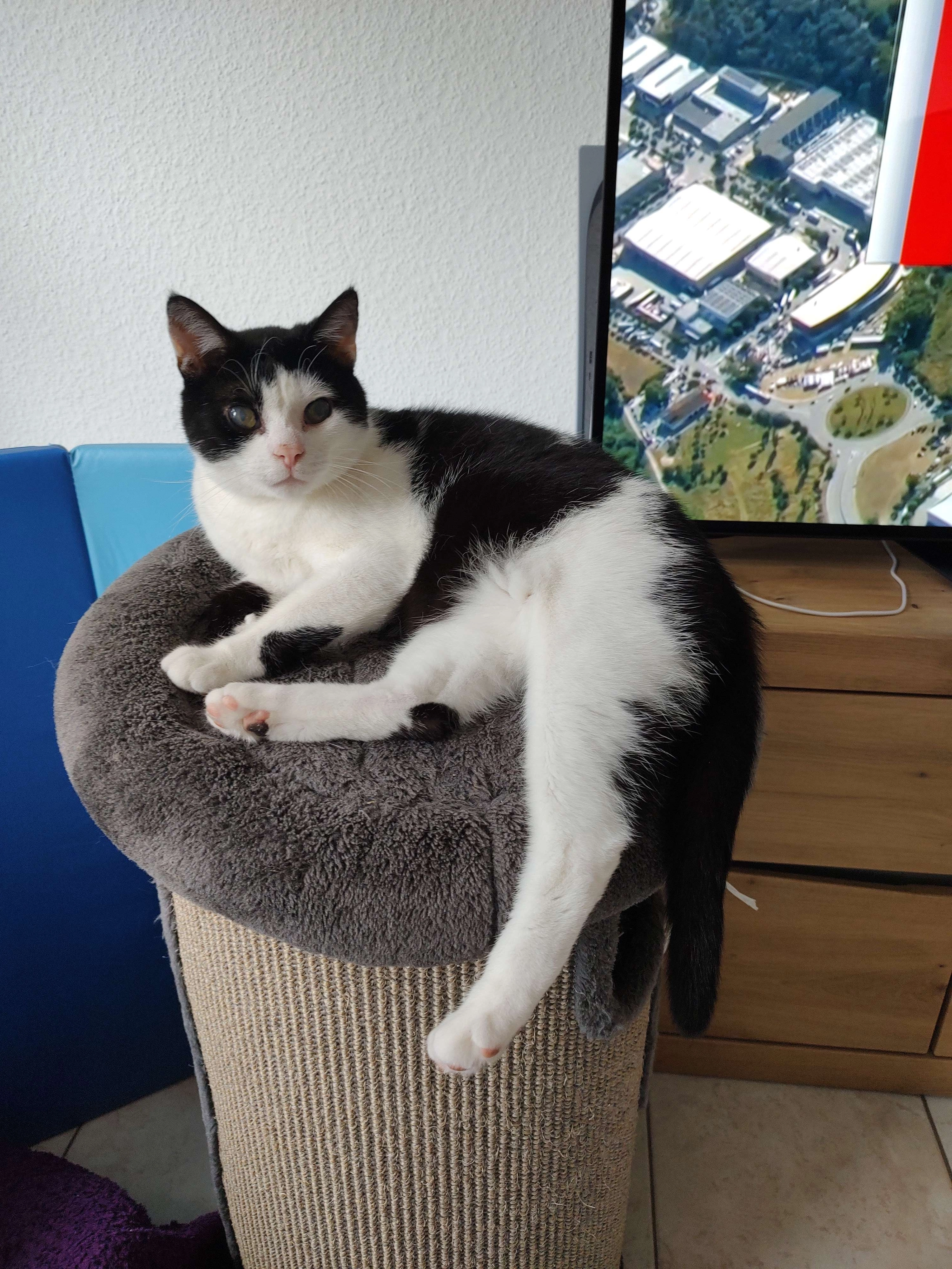 Loki - Koxheidestraße, Kevelaer