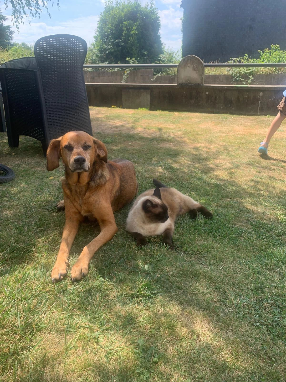 Leïla - 15 Cité des Peupliers, Baud