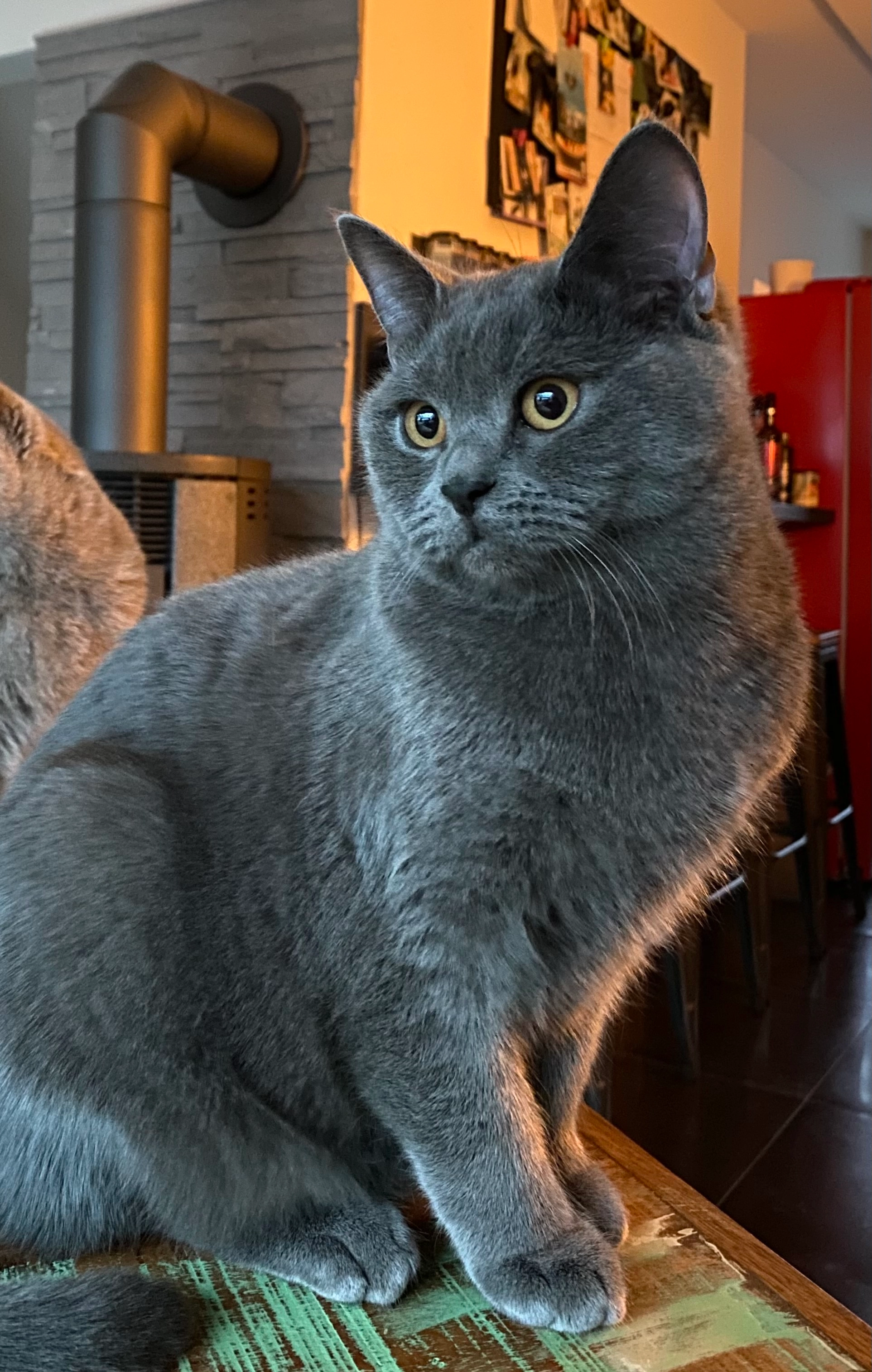 Timba - Spechtstraße, Marl