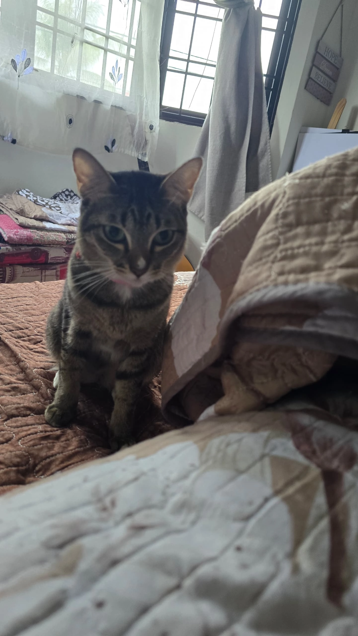 Jacob - 181 Usj 3/4b , Subang Jaya