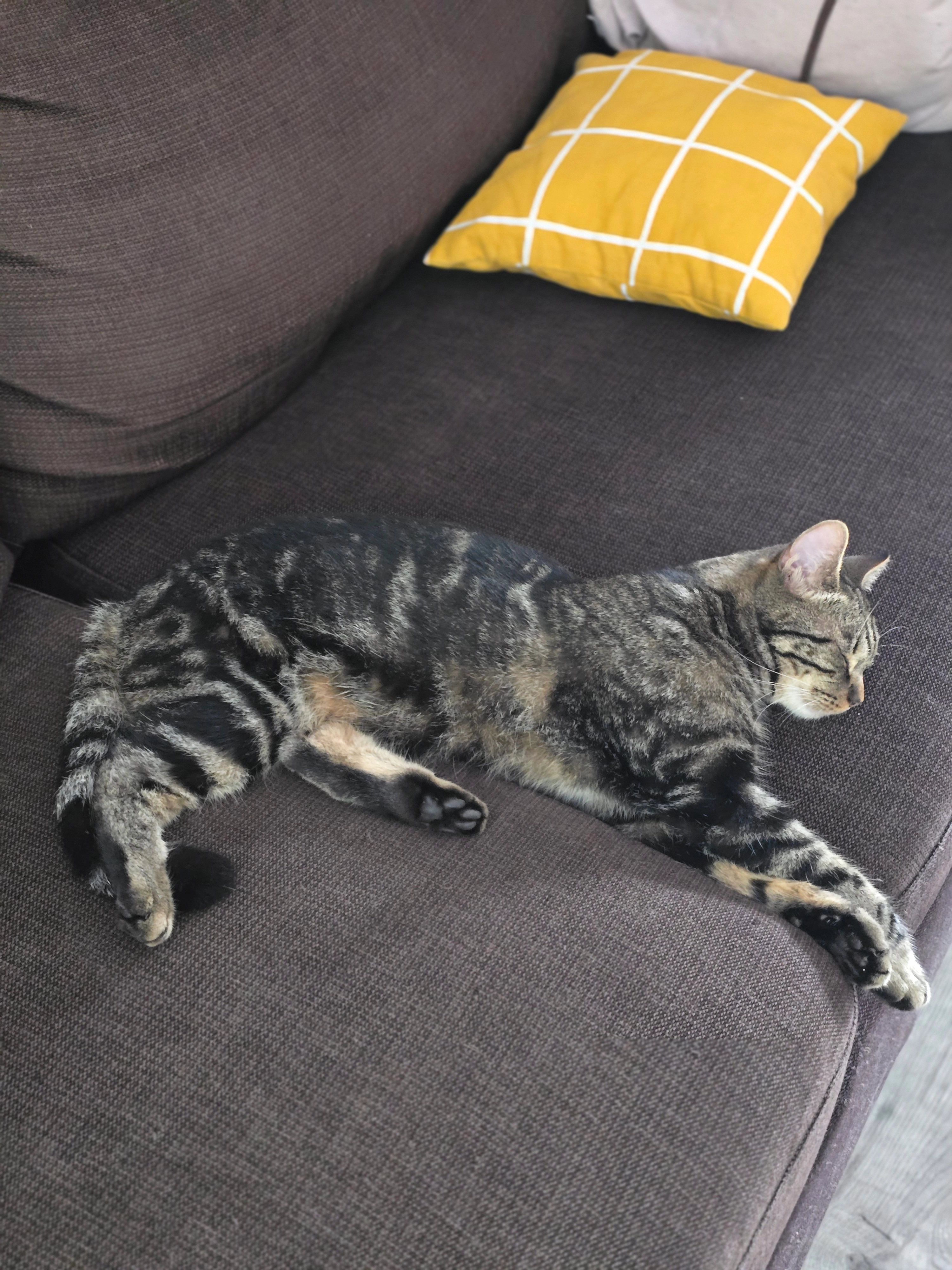 Chapo - Chemin Des Dionnières, Tain-l'Hermitage