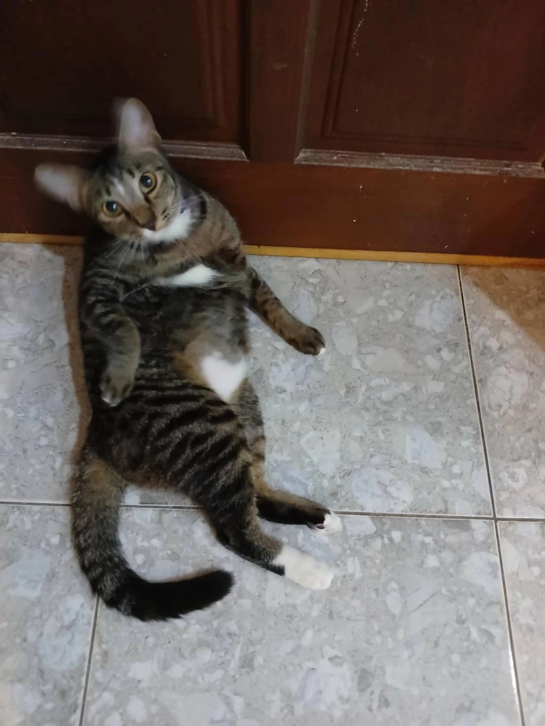 Paing paing - Haupa 2 Street, Mueang Phuket