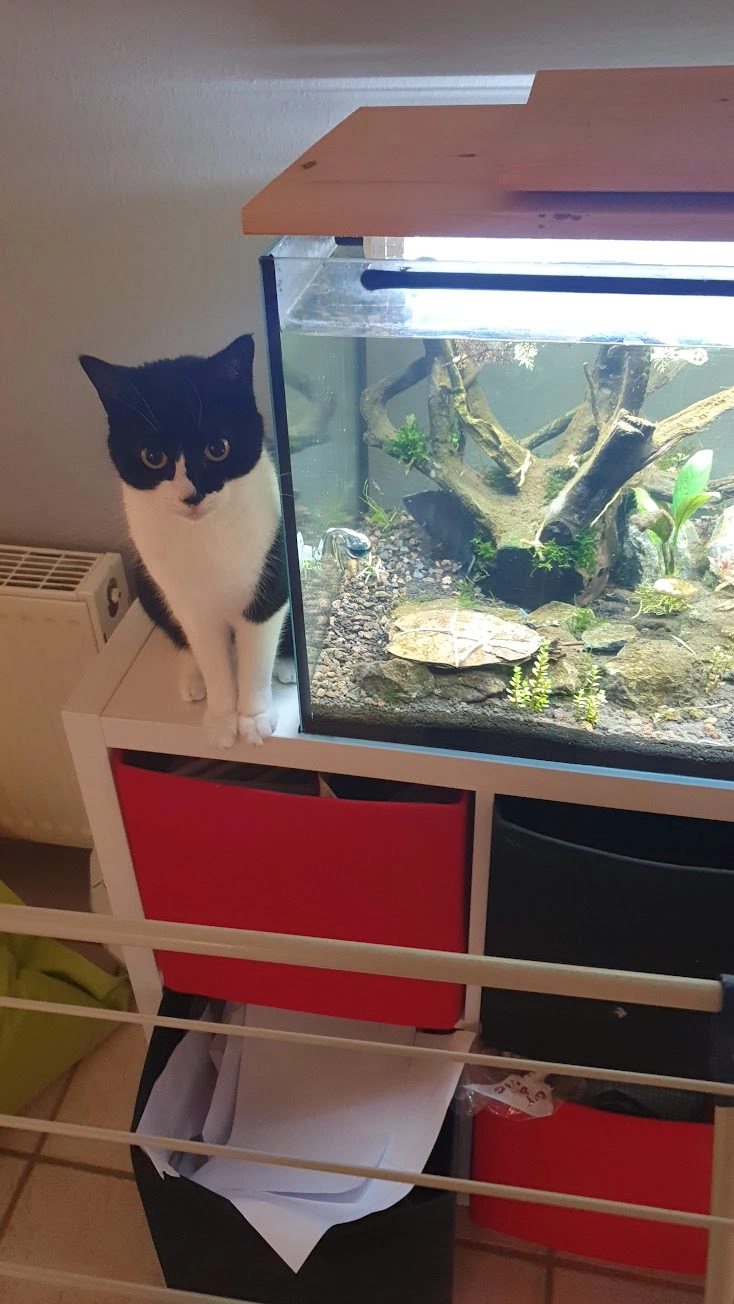 Lea - Beetstraße, Bad Salzuflen