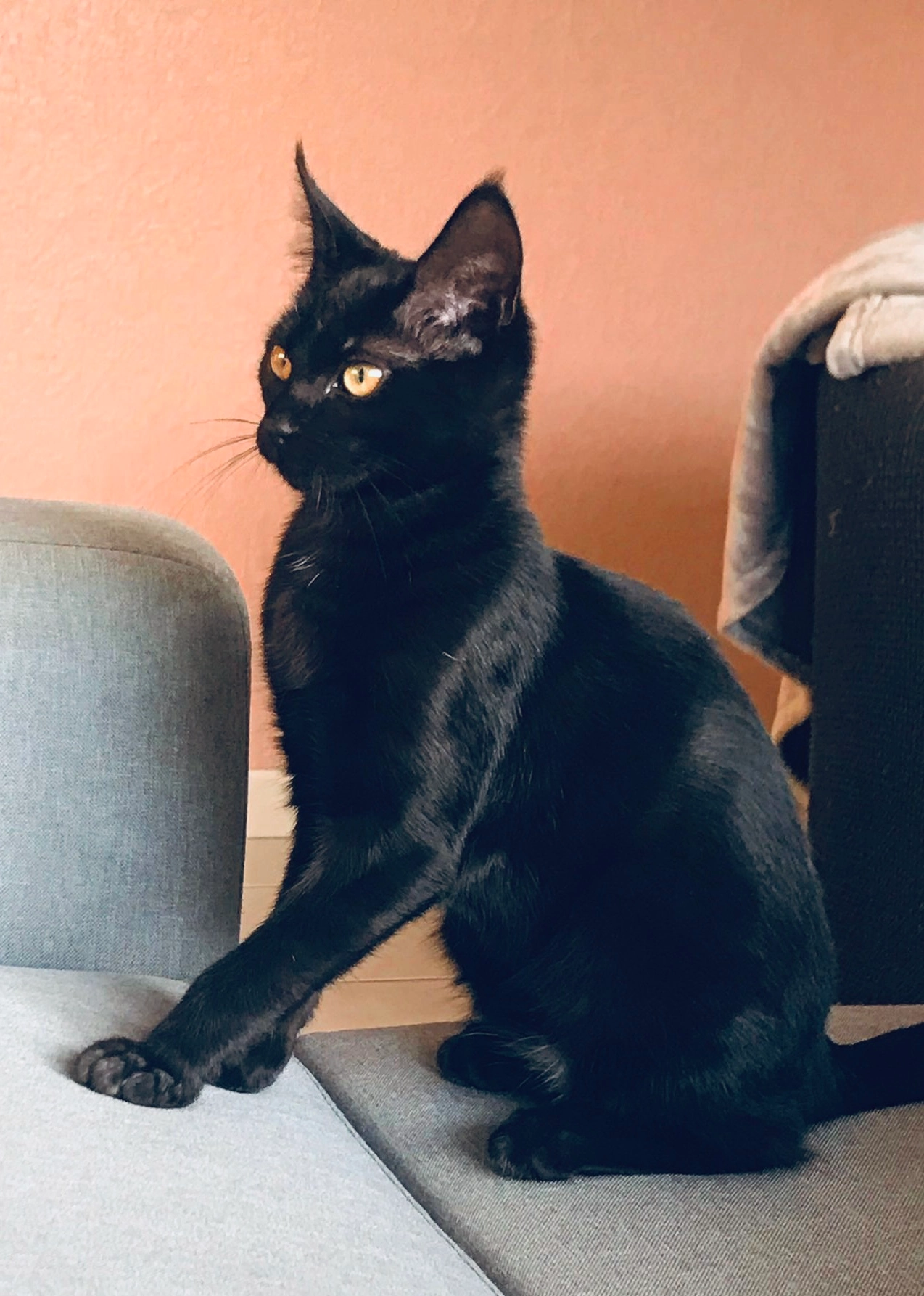 Soda - Chemin De Restes, Gragnague