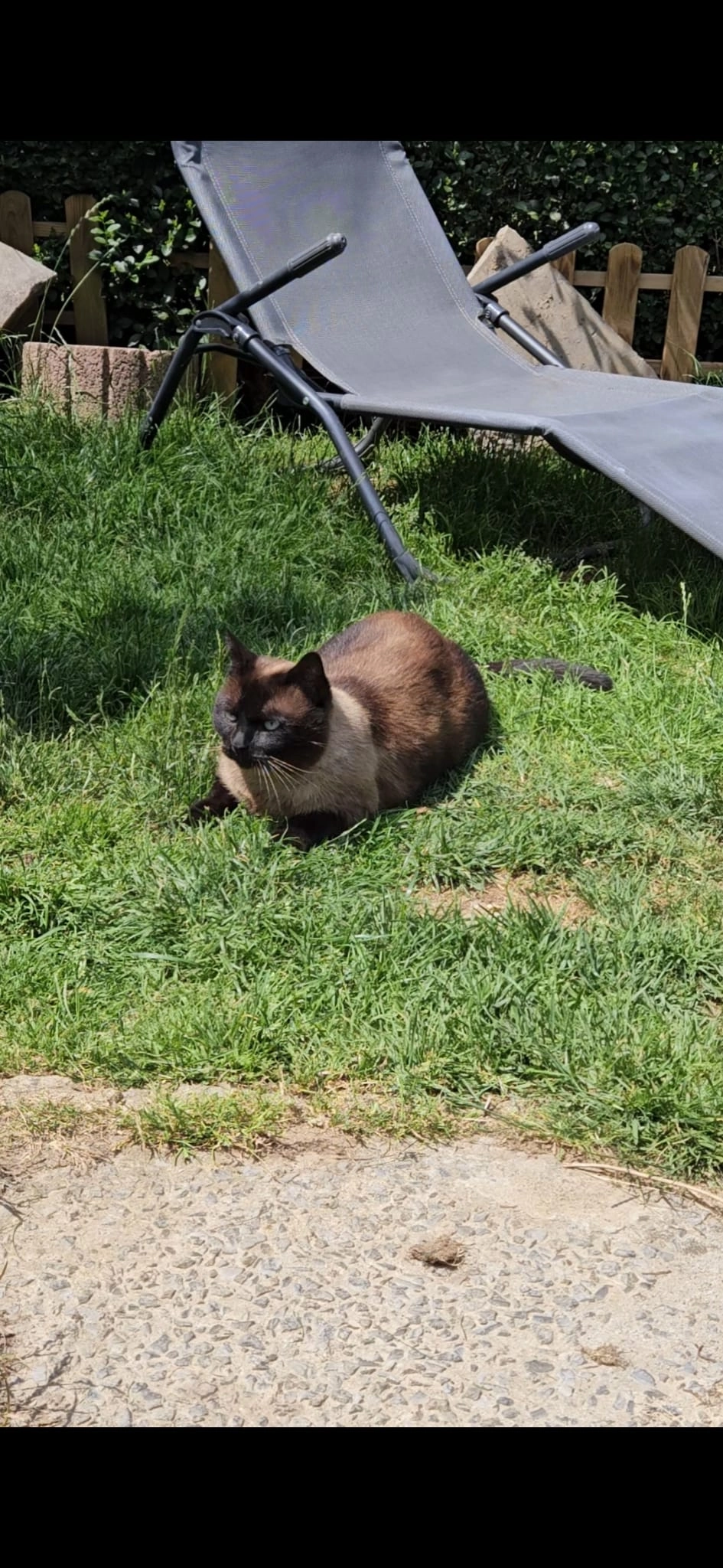 Max - Clos du Conifère 14, Braine-l'Alleud