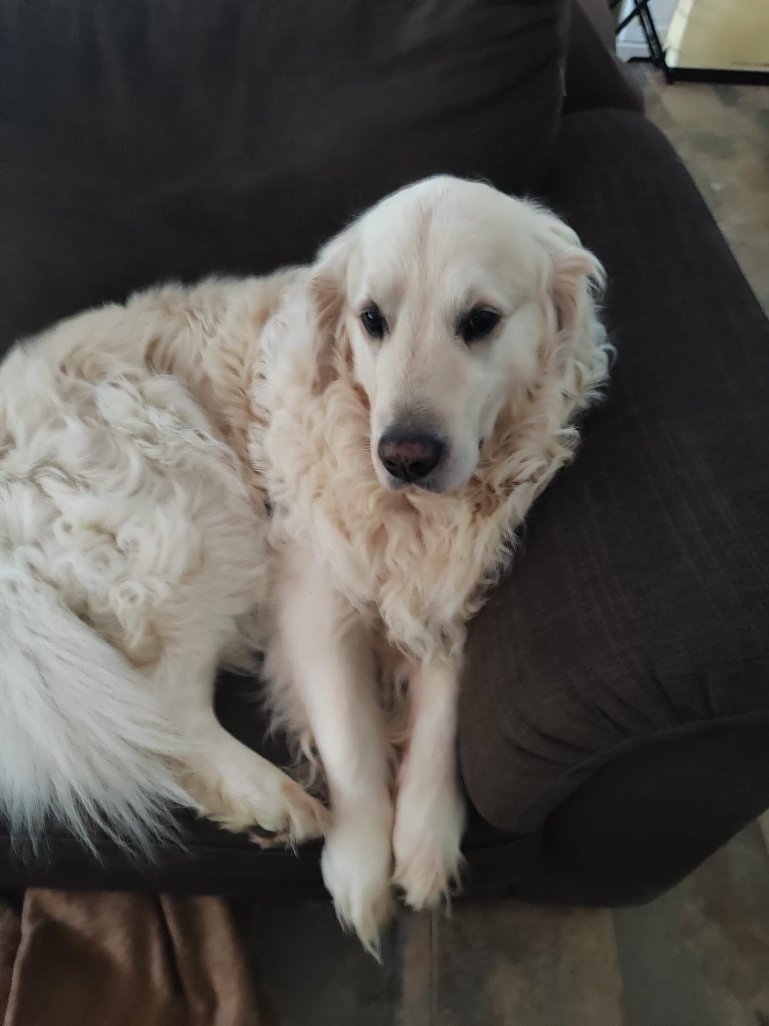 sugar - Calle de Basobarri, Mungia