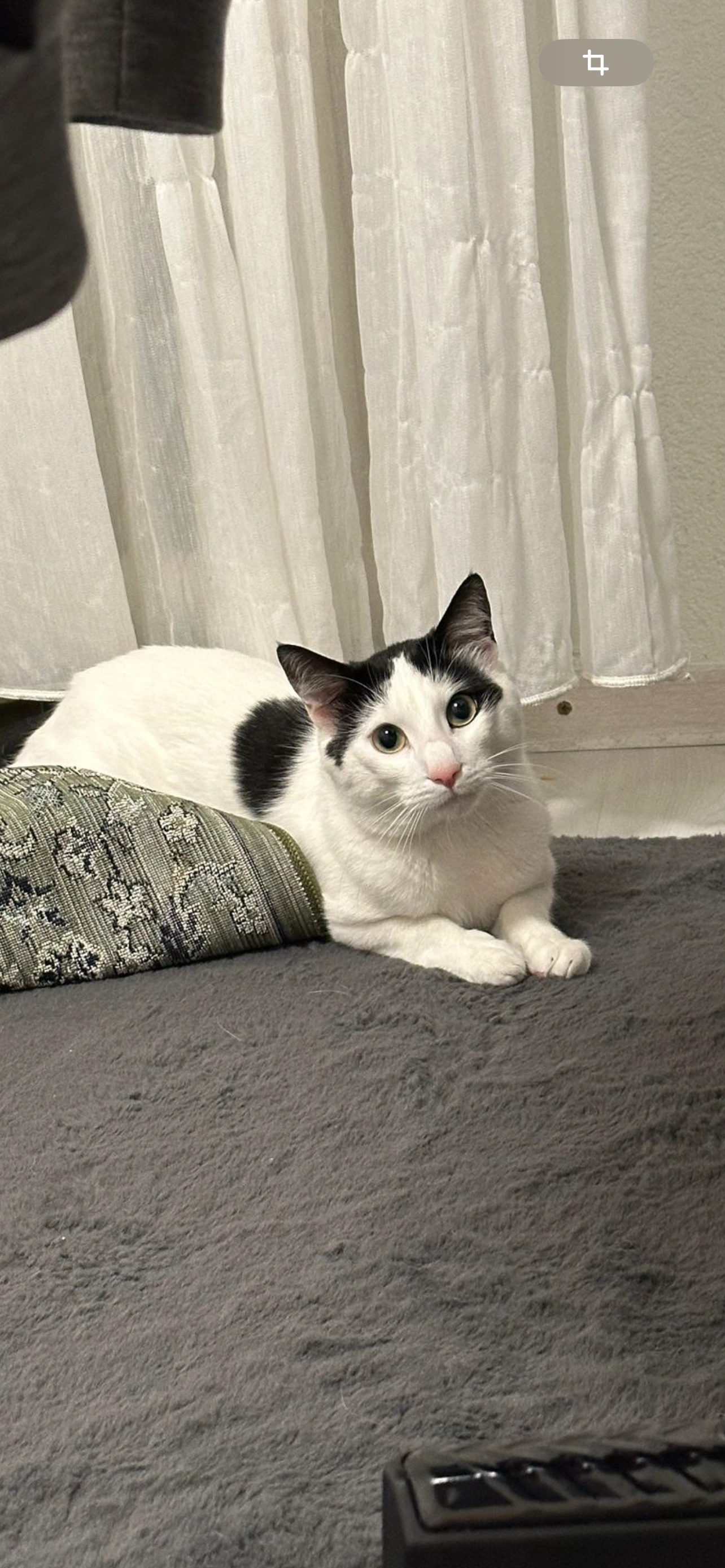 Yuki - Heidelberger Straße, Rodgau