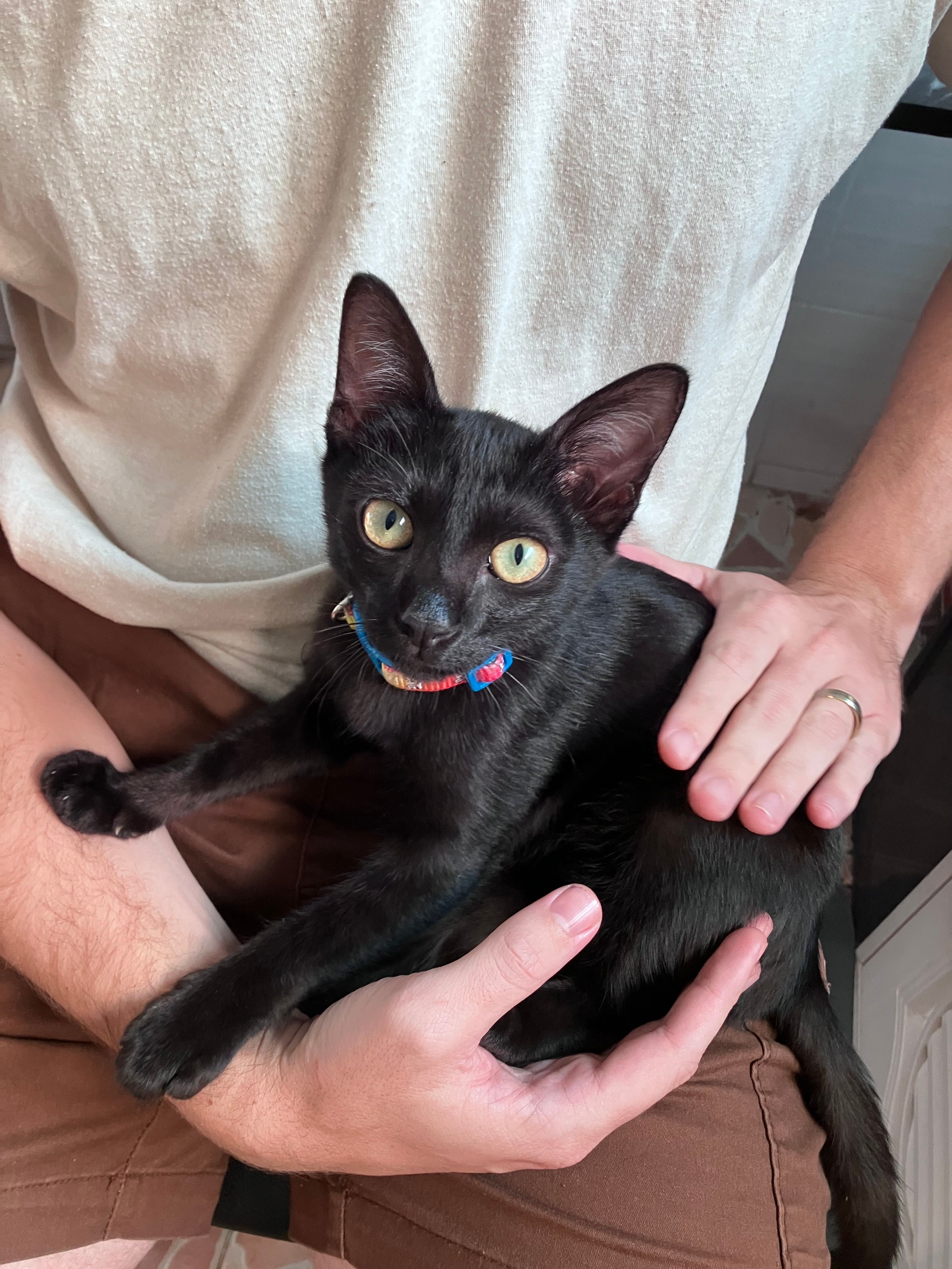 Opie - ซอย 8, Mueang Chiang Rai