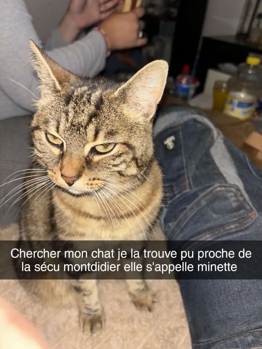 Minette - 1 Lotissement Saint-Pierre, Montdidier