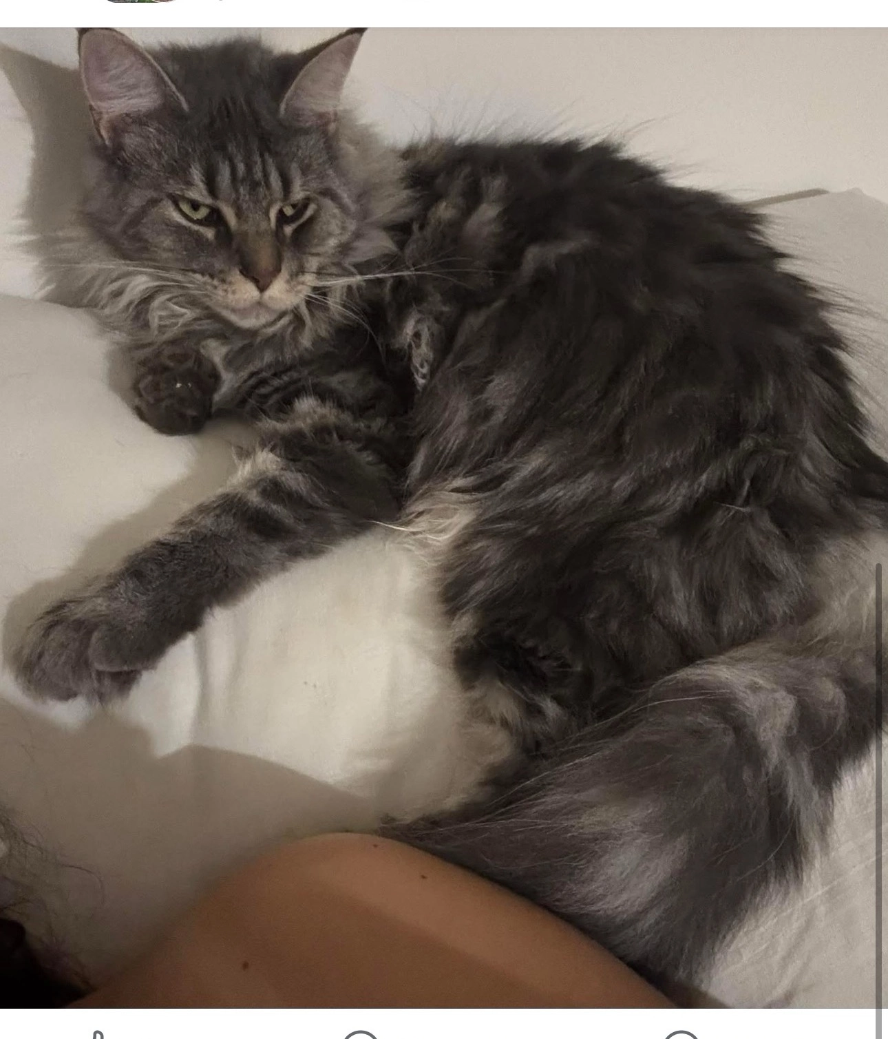 Unanyme  - Chemin de la Falaise , Saint-Cergue