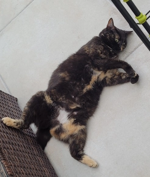 MAYA - Rue de l'Église, Lissay-Lochy