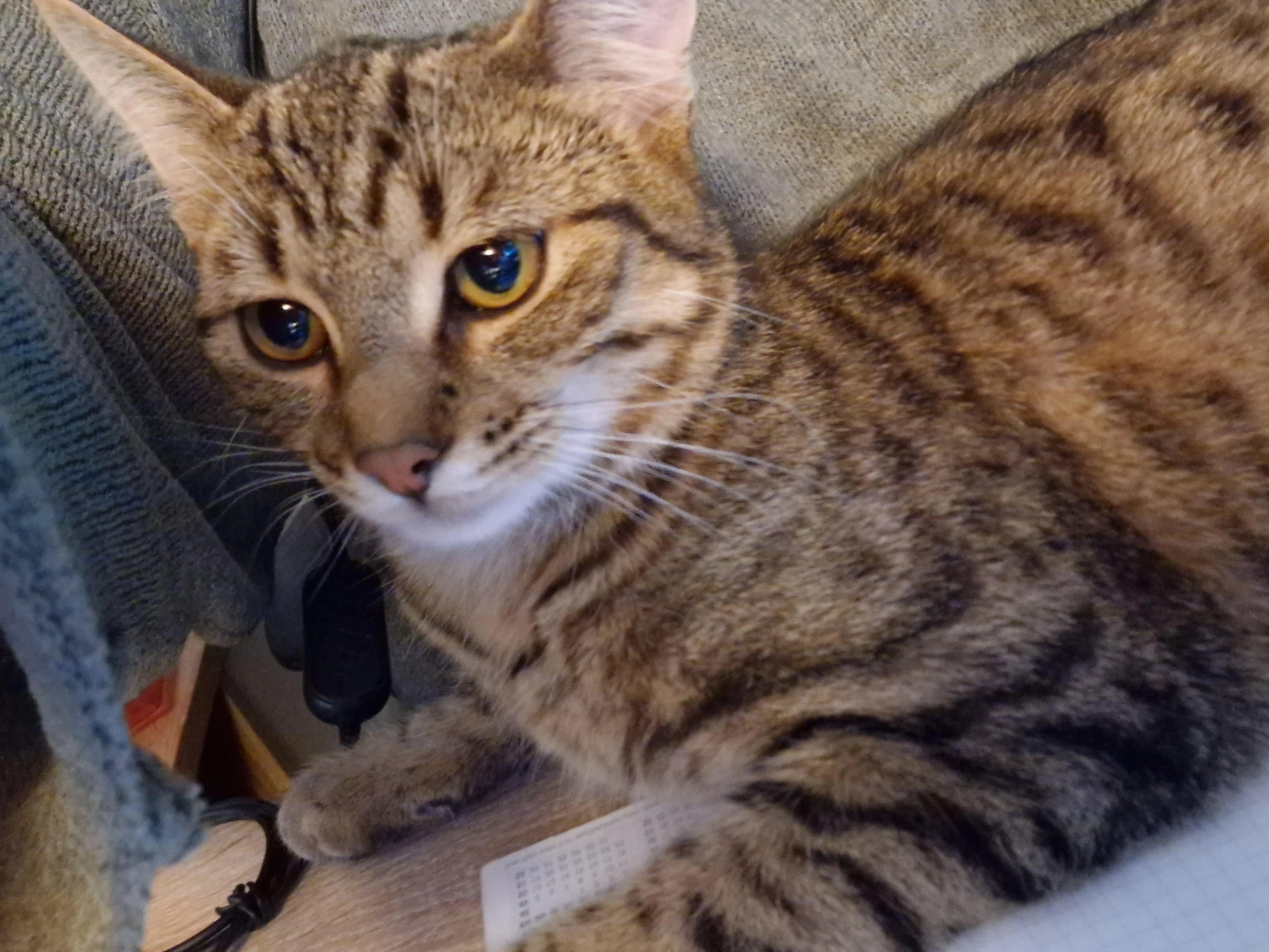 Samy - Hauptstraße, Baden-Baden