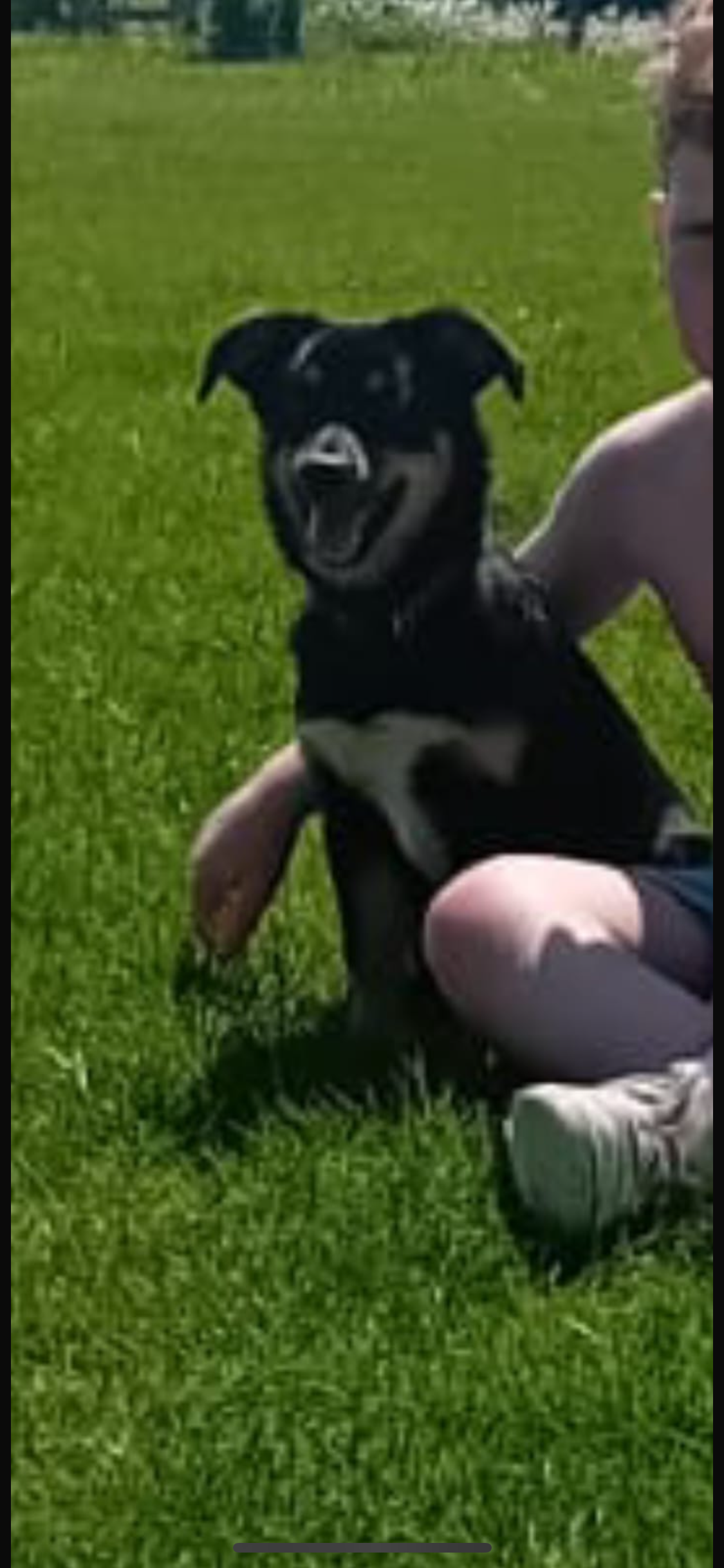 Penny - Baghill Lane, Aylesbury