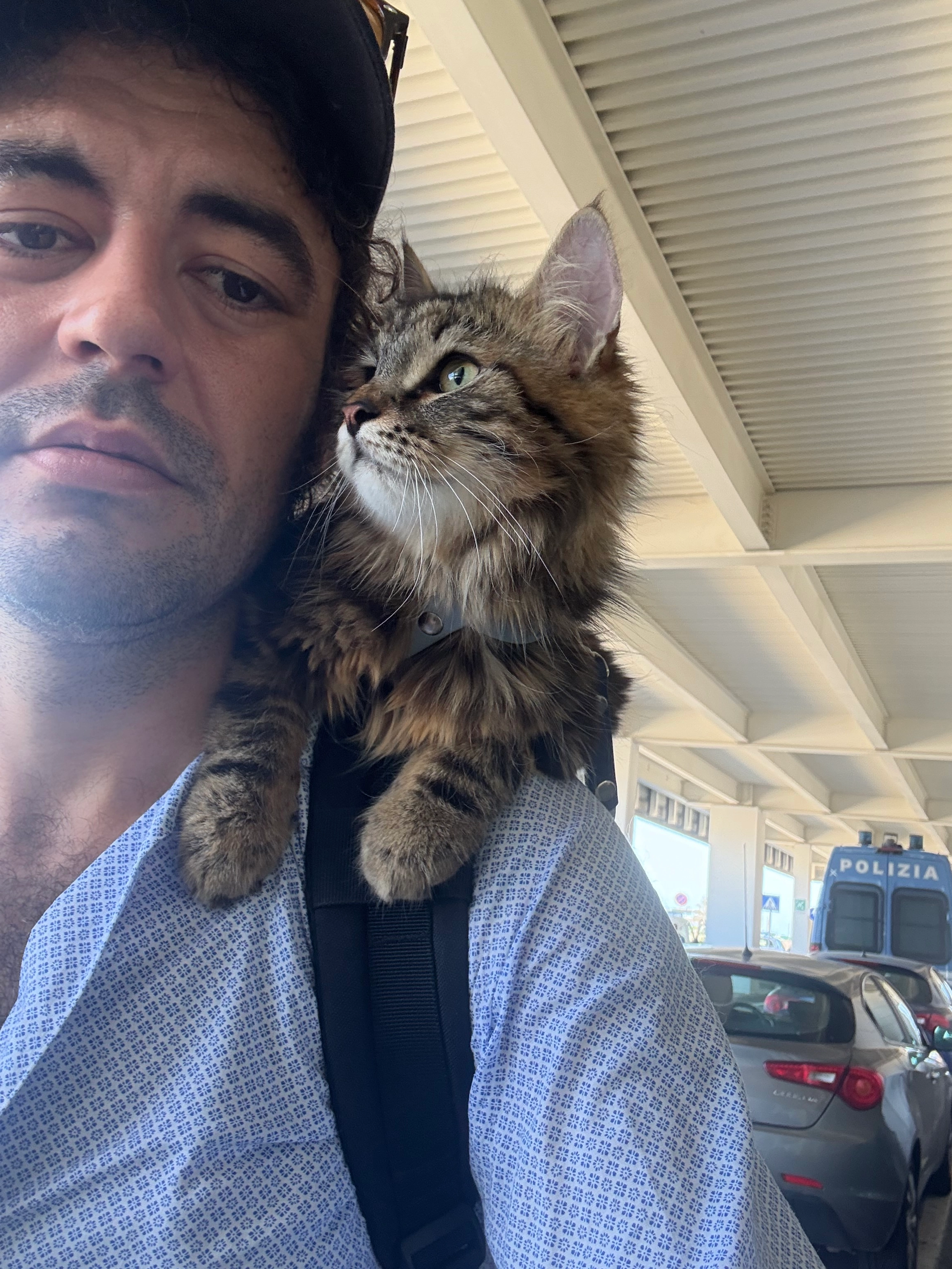 Brigitta - Piazzale Arduino 1, Milano