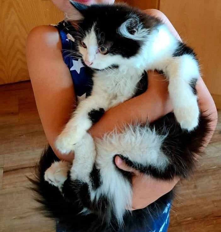 Kitty - Audörfel 7, Glauchau