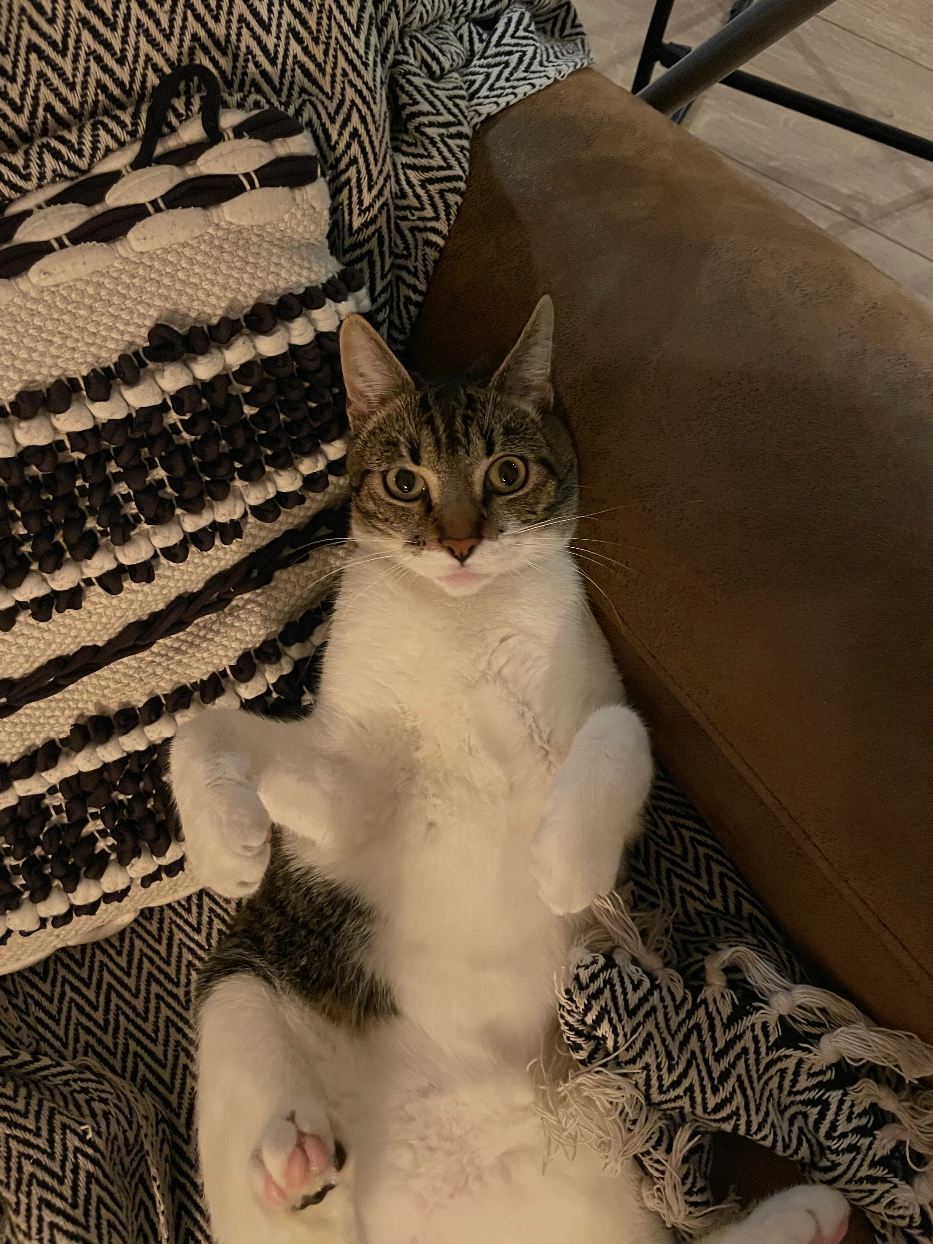 Bretzel - 24 Rue Guy de Maupassant, Saint-Cyprien