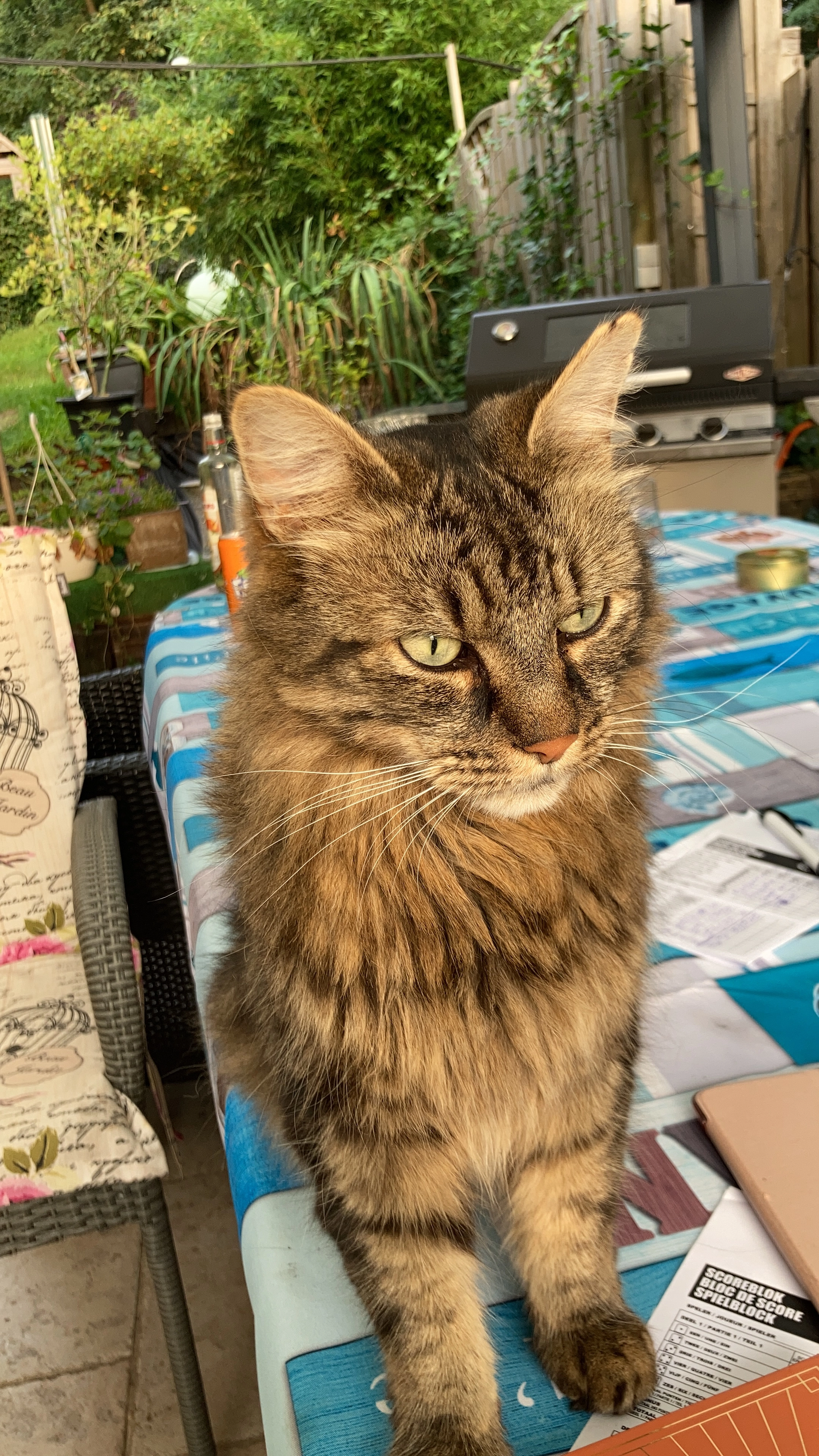 Luigi - 3051, Oud-Heverlee