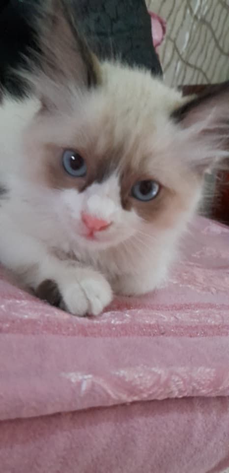 Without name - 16, Algiers