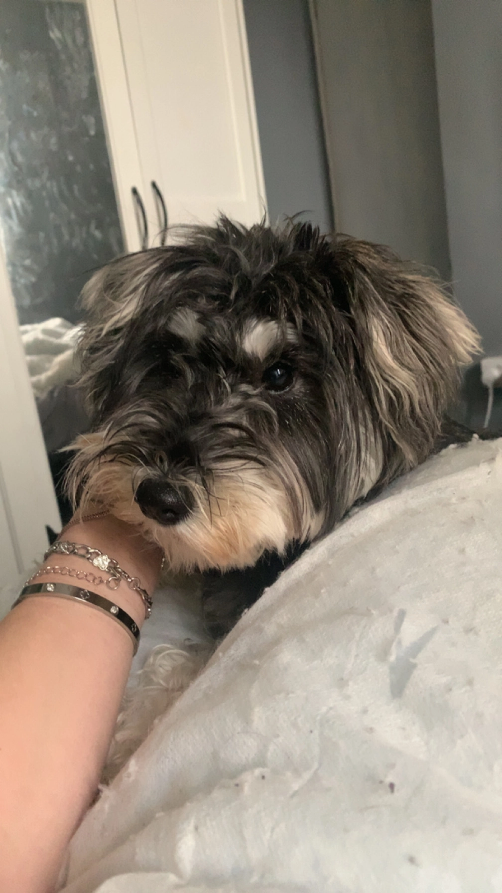 riley - Fairmount Drive, Cannock