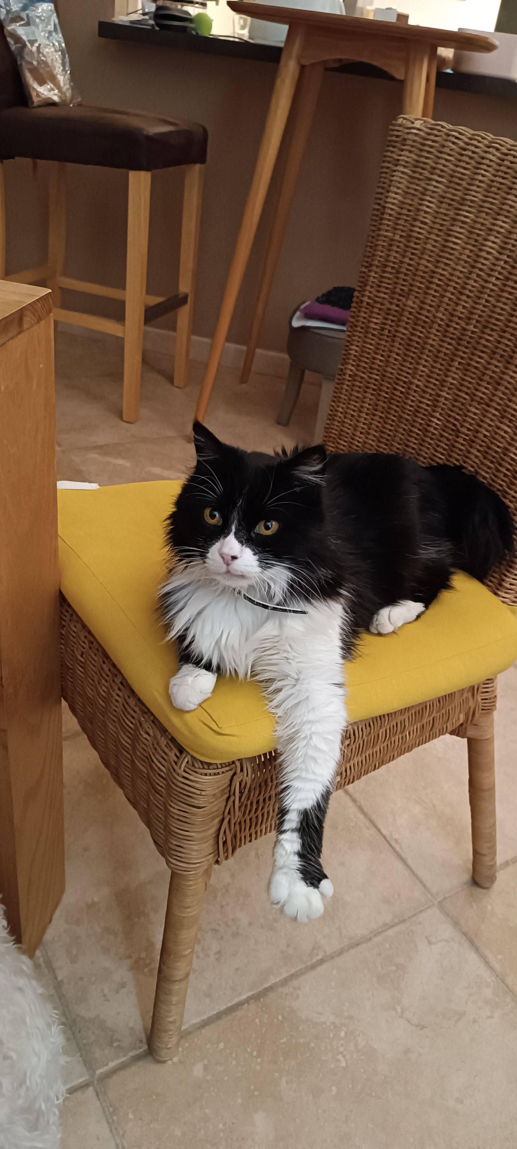 Winny - 216 Chemin du Capelet, Sérignan-du-Comtat