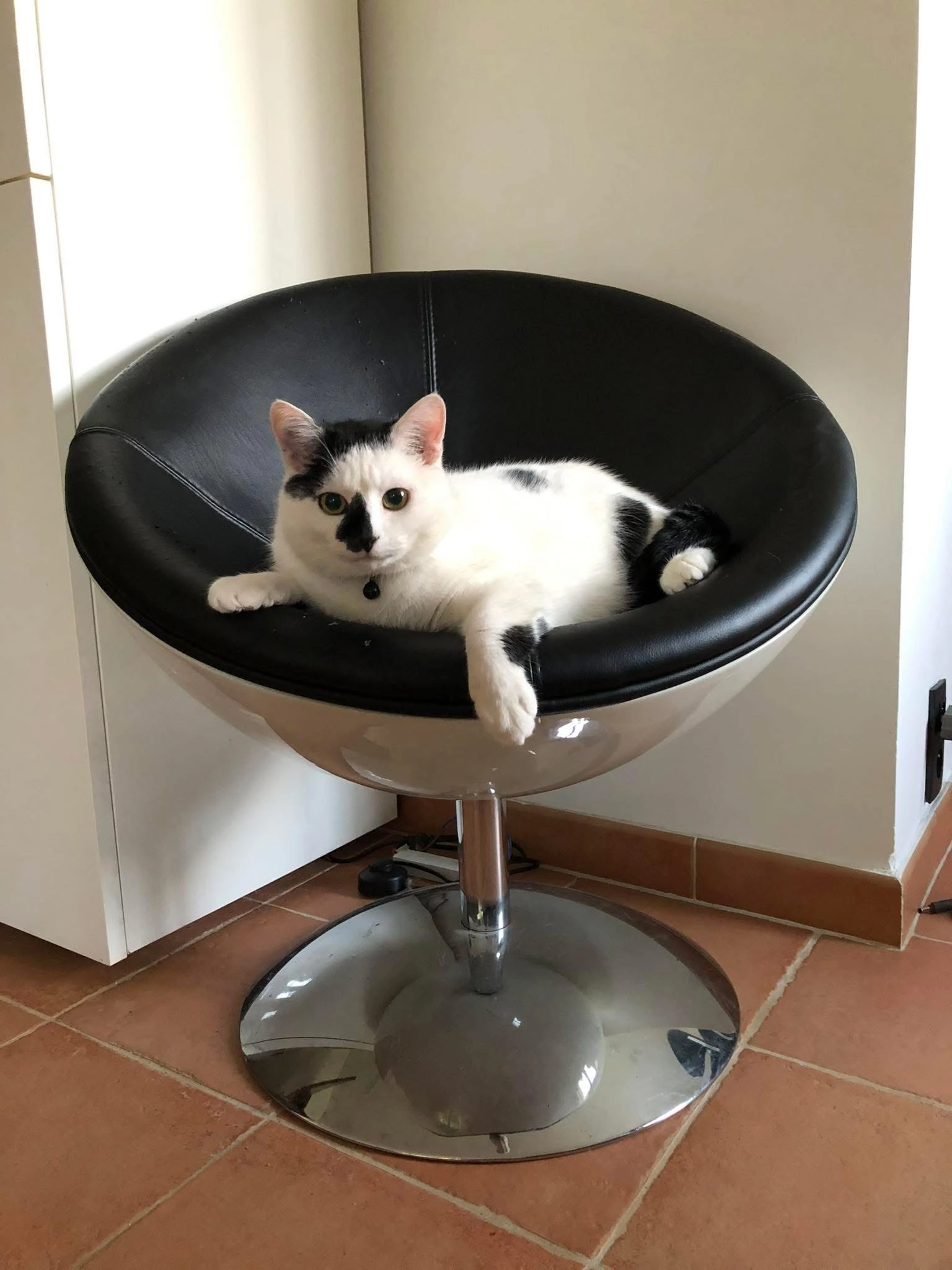 Kimi - Rue des Merisiers 3, Braine-l'Alleud