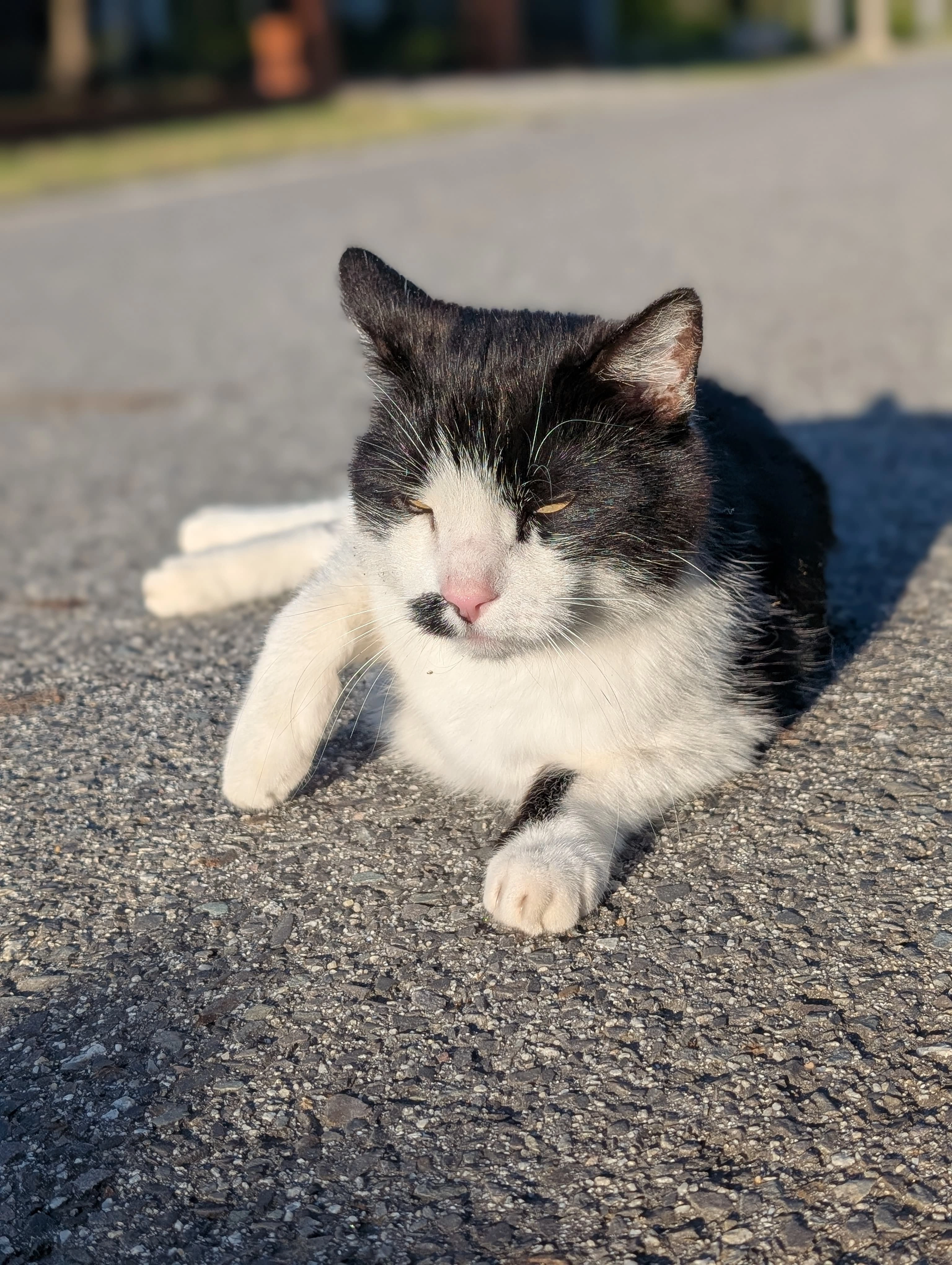 Paule - Eichenweg 132, Boxberg/Oberlausitz