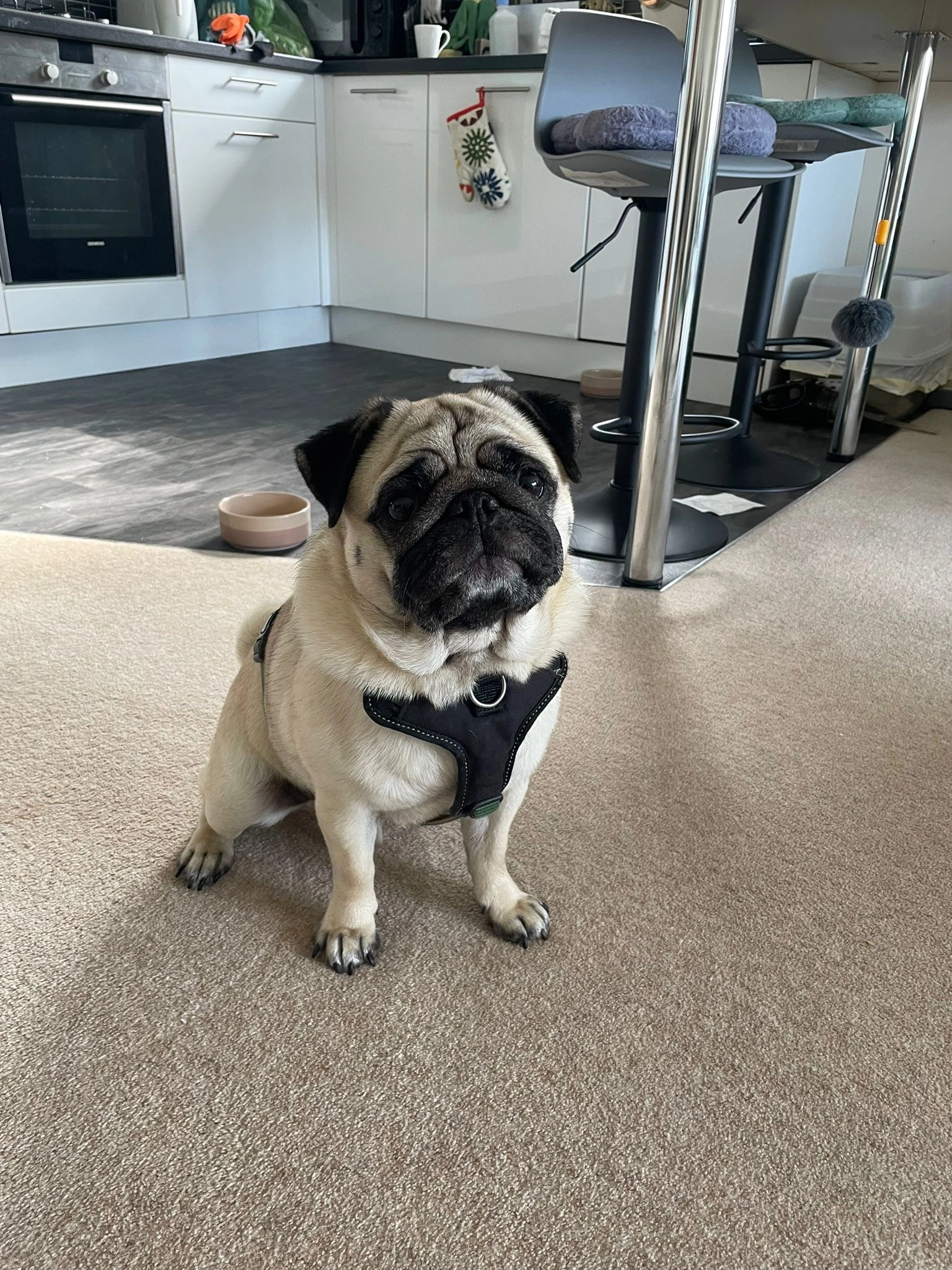 Keks - The Chanonry, Aberdeen