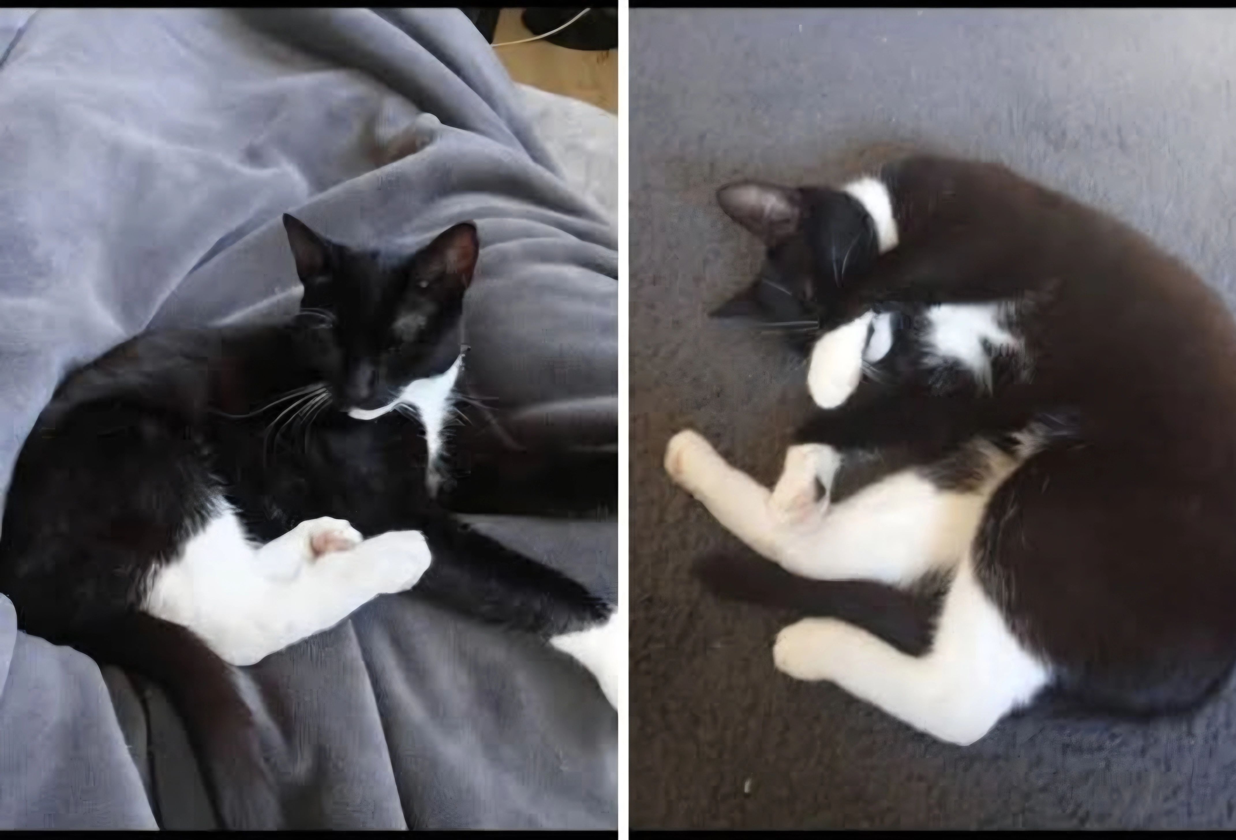 Laulau - Rue de la Croix 24, Visé