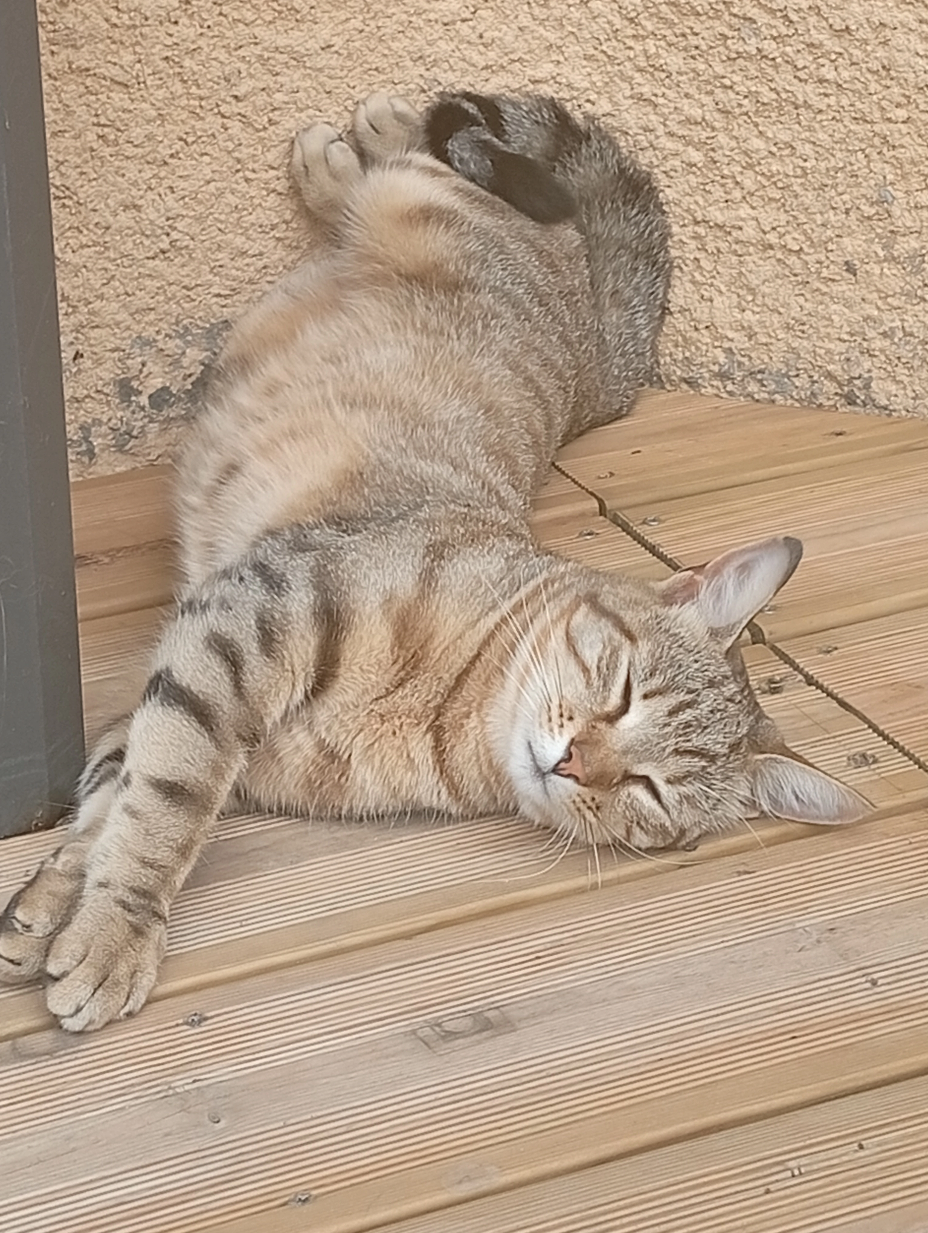 Uguette - Route de Saint-Romain, Saint-André-de-Cubzac