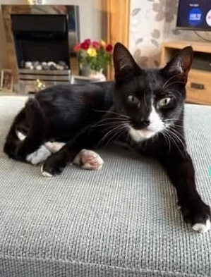 Nick - Cranfield Grove, Birmingham