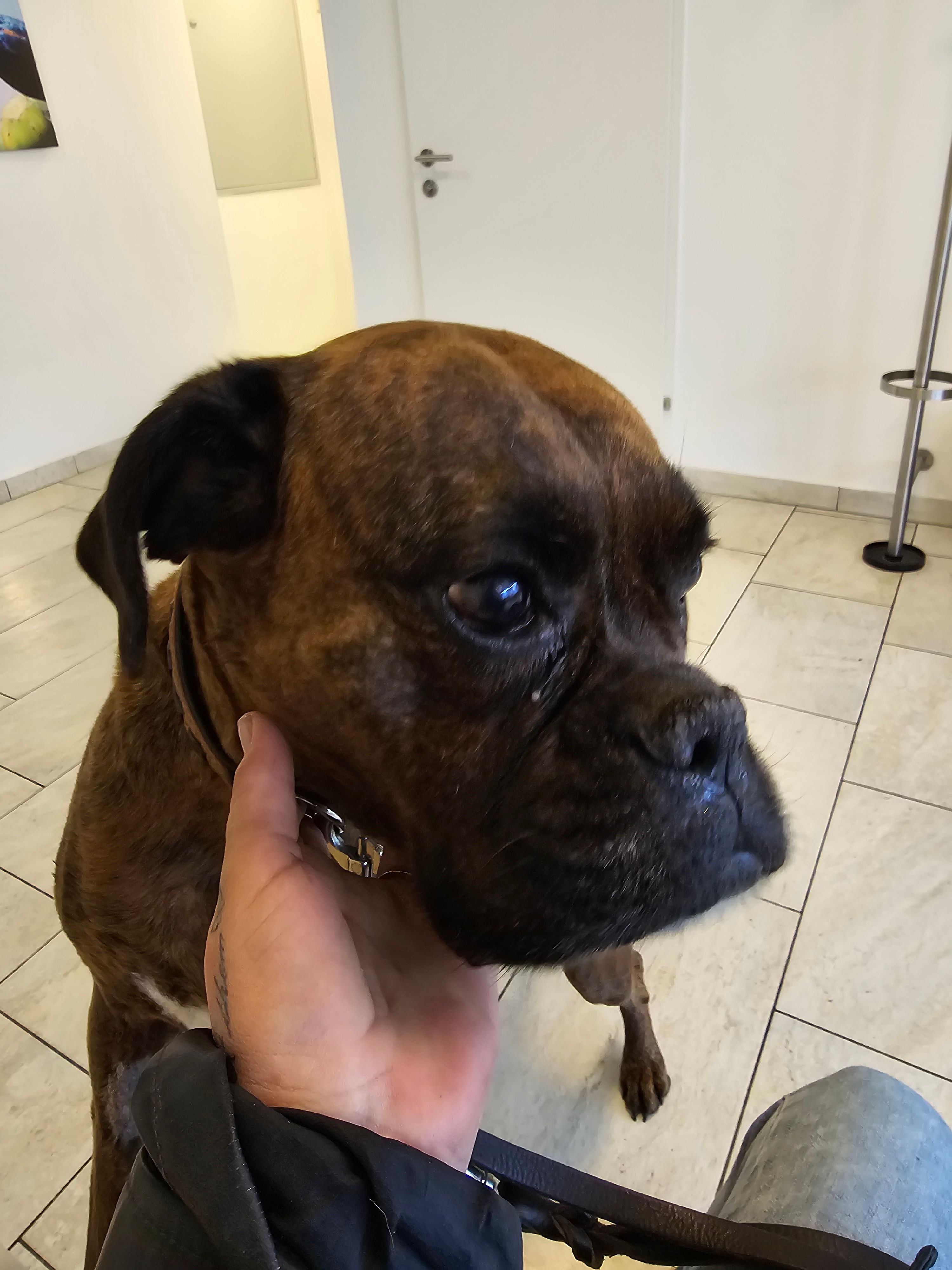 Bibi - Neutorstraße, Salzburg