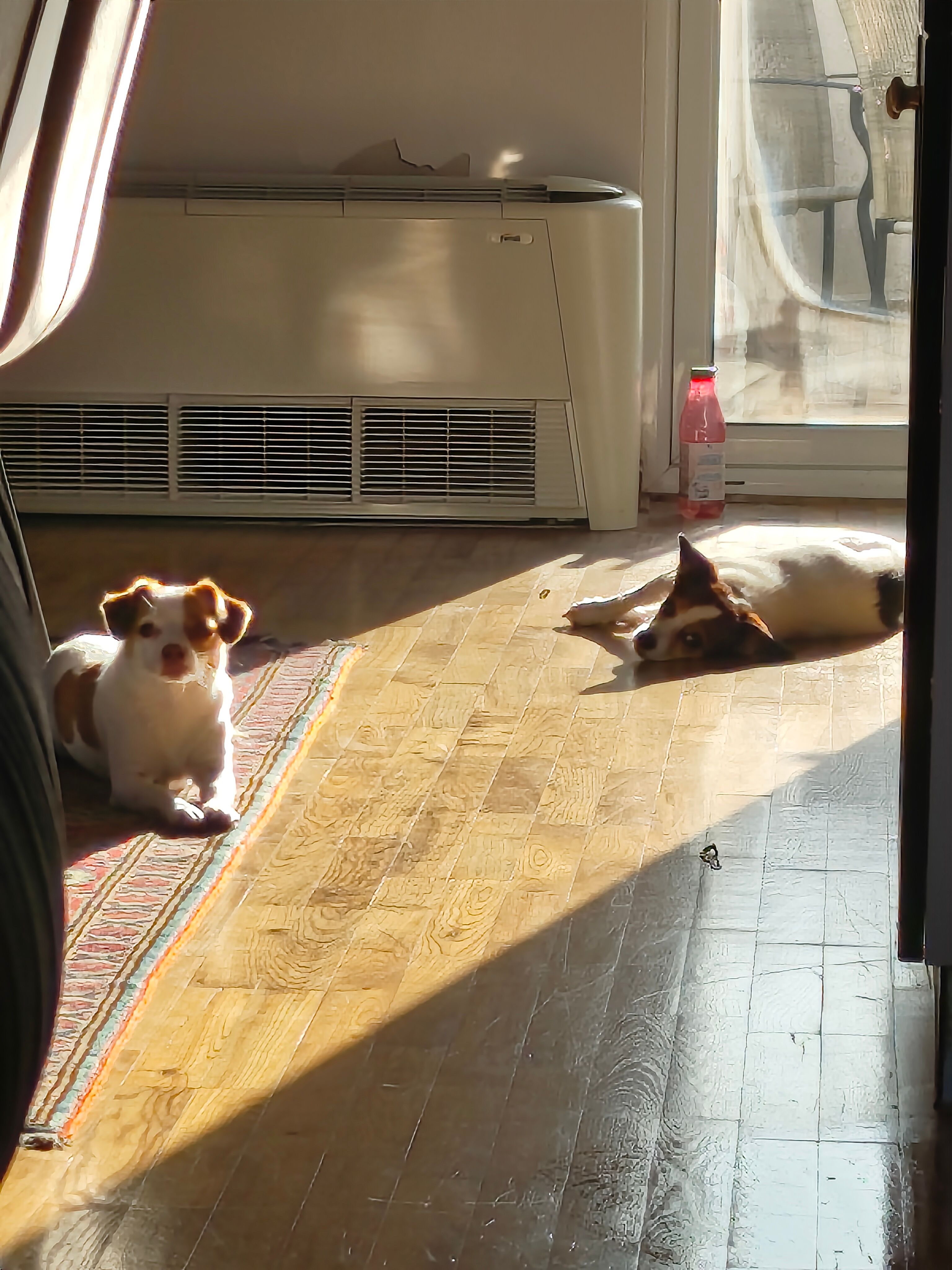 Luna - Ulica Kondina, Beograd