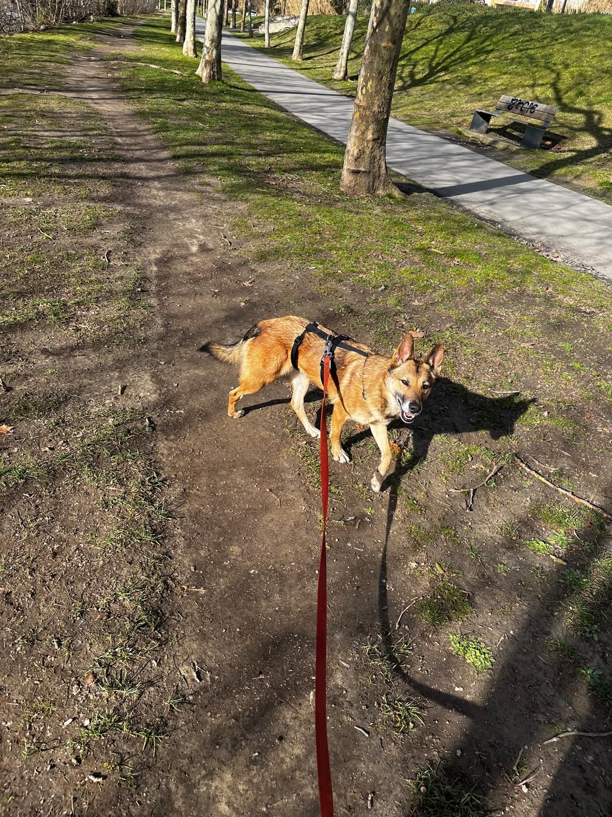 Zéna - D 6161, Carcassonne