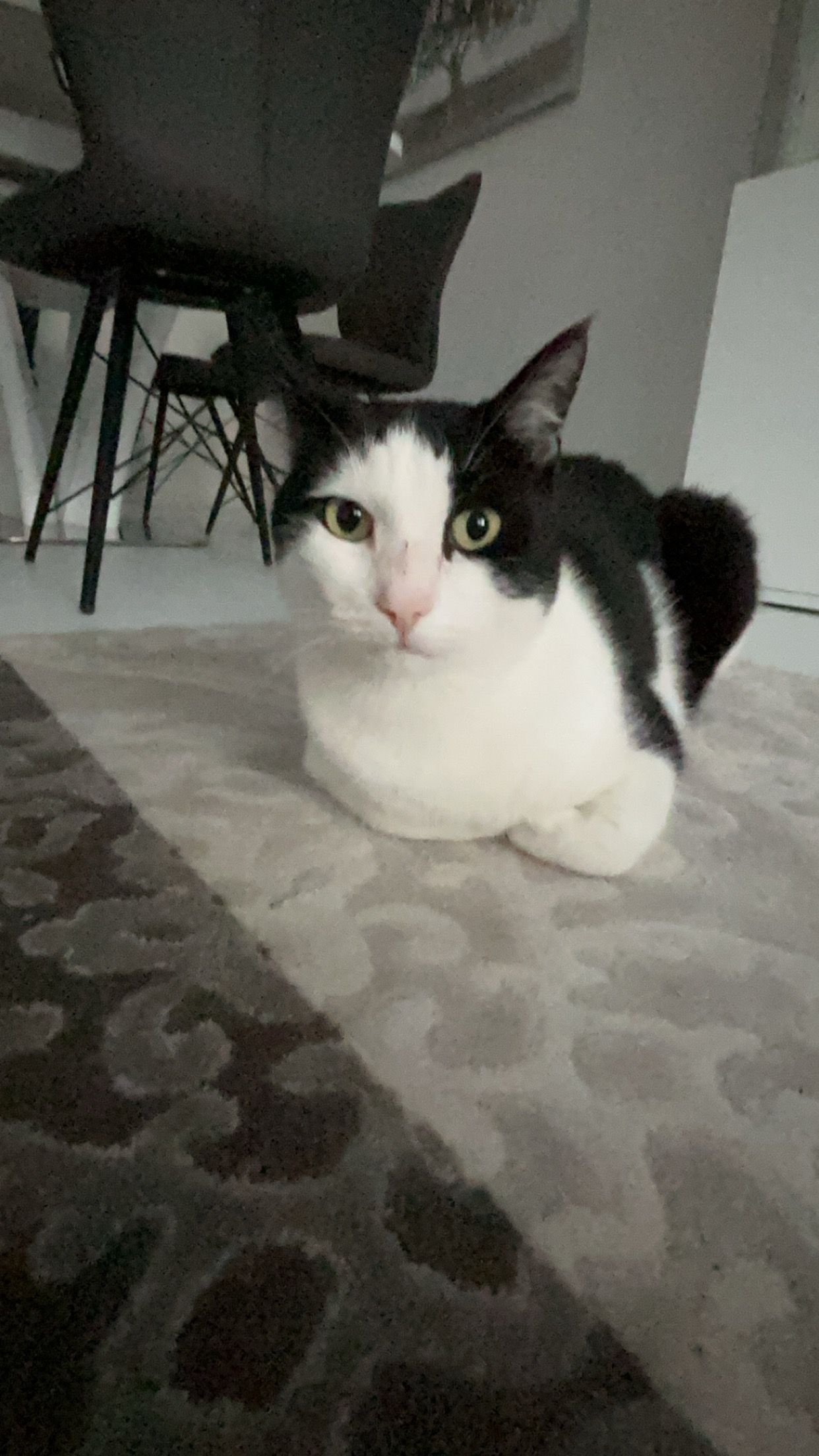 Belchick - Barbarossastraße, Kaufbeuren