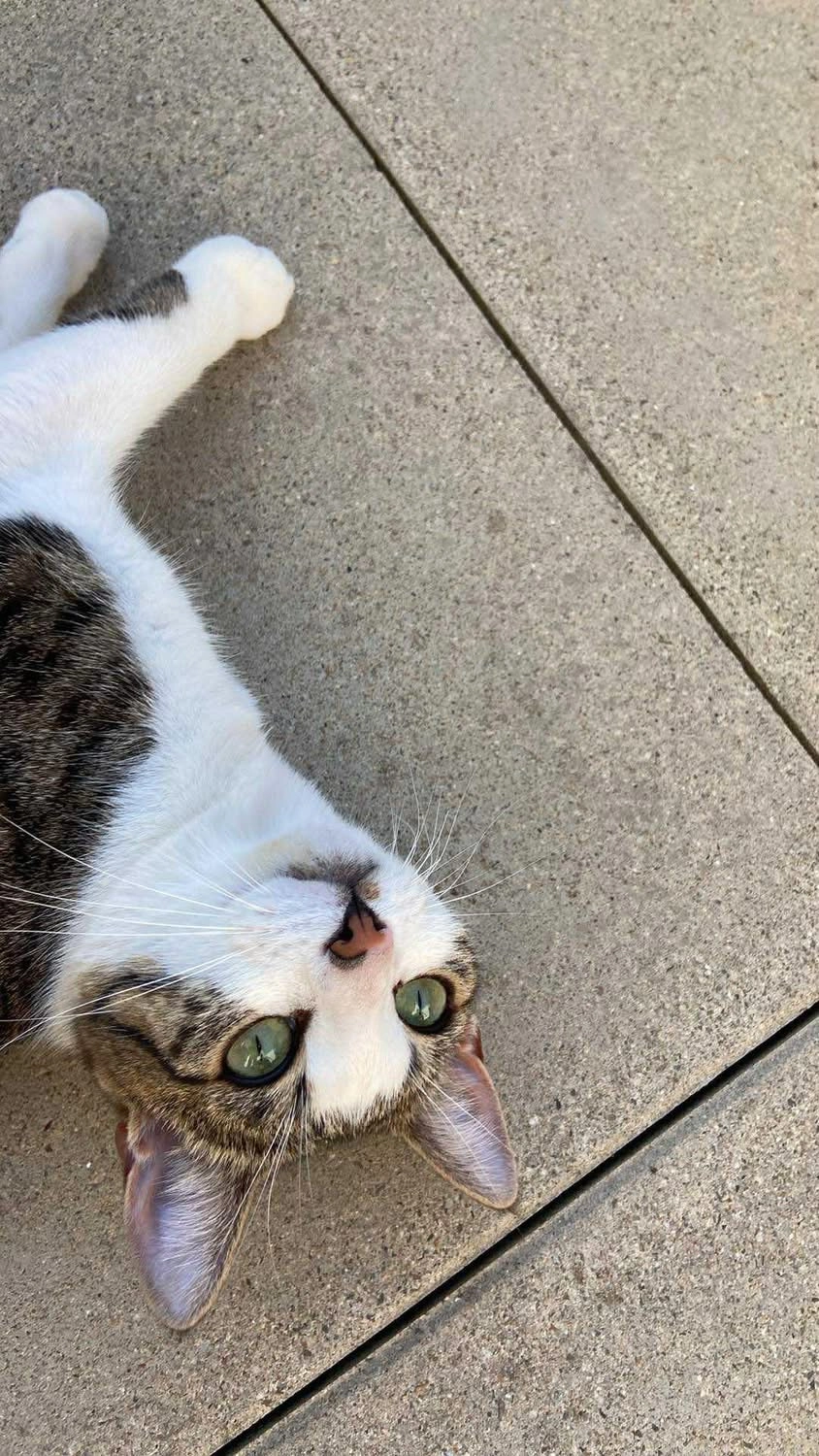 Yuna - 2 Rue des Écoles, Luxeuil-les-Bains