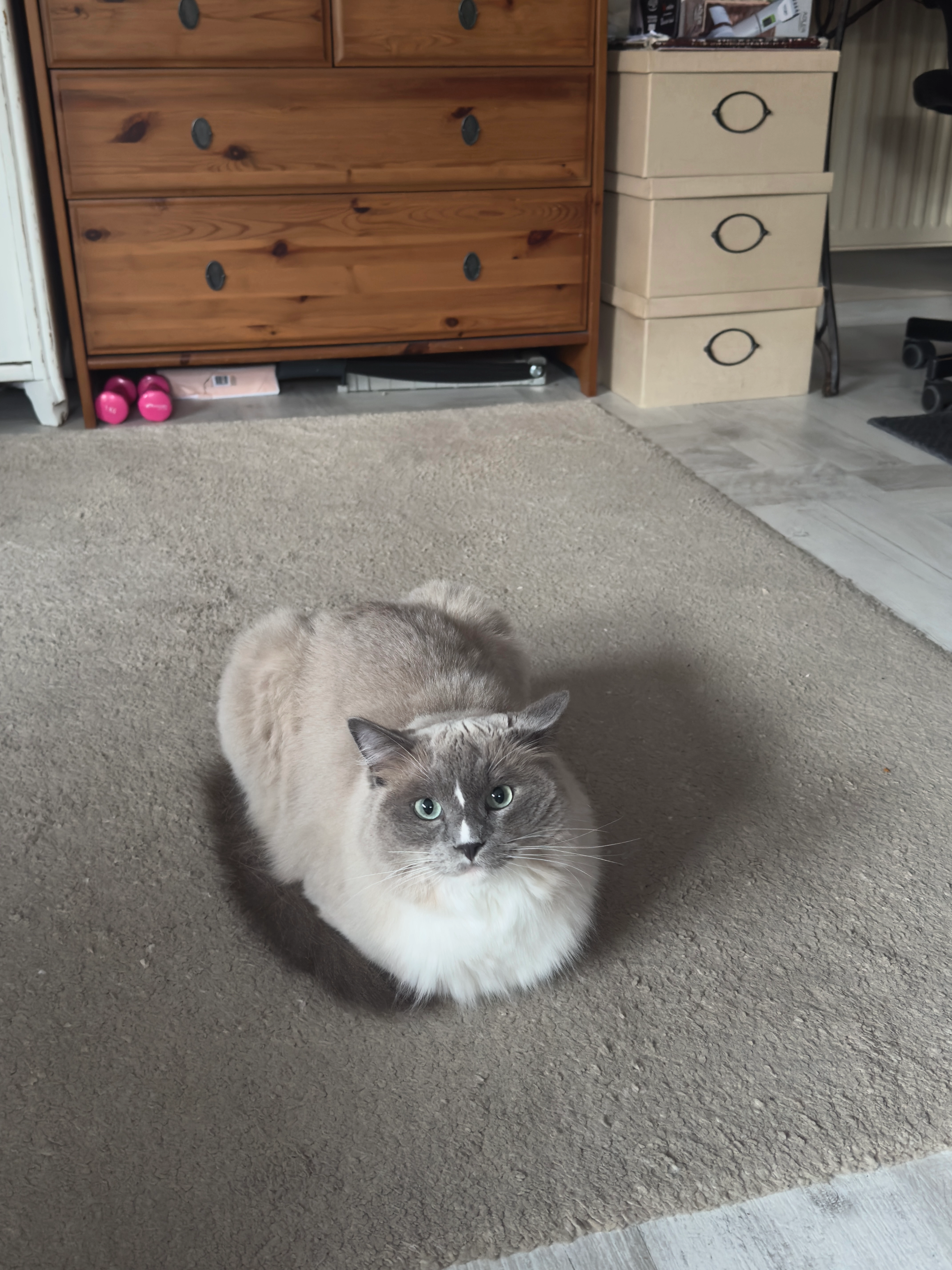 Yuki - Beeckstraße 1A, Seebad Ahlbeck