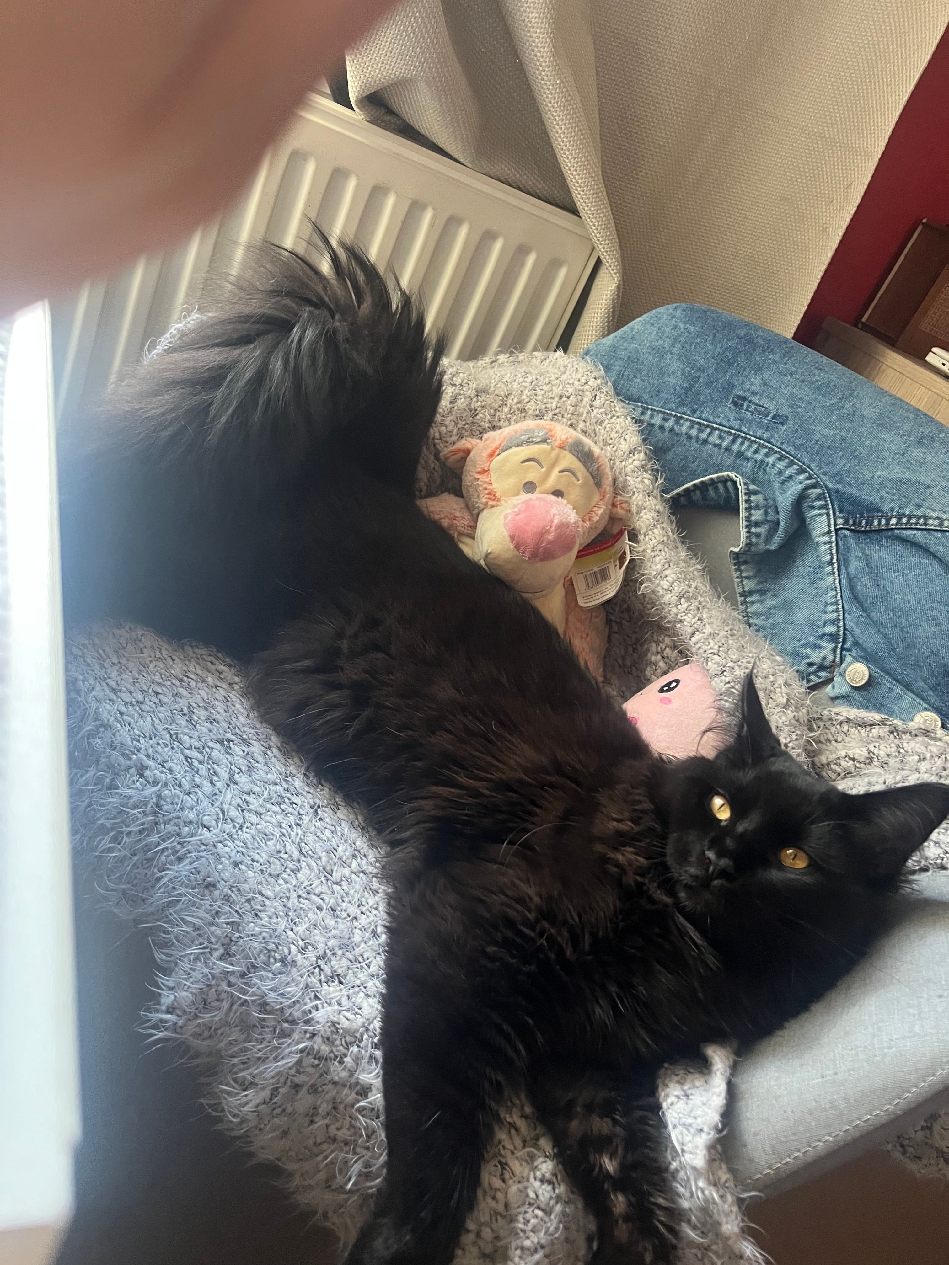 Onyx - 65 Rue Maberly, Amiens