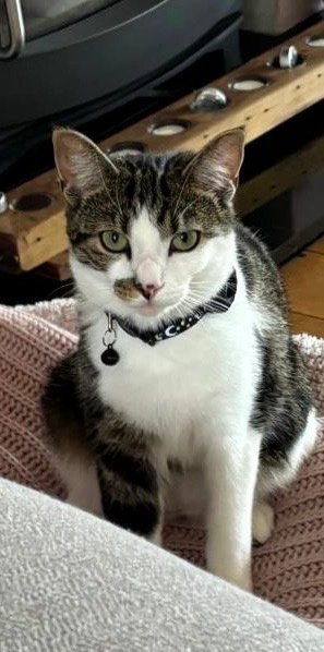 Smudge - Hillside Road, Nottingham