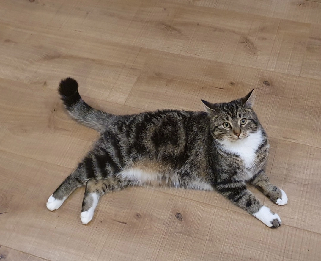 Luna - Würzburger Straße, Bad Neustadt an der Saale