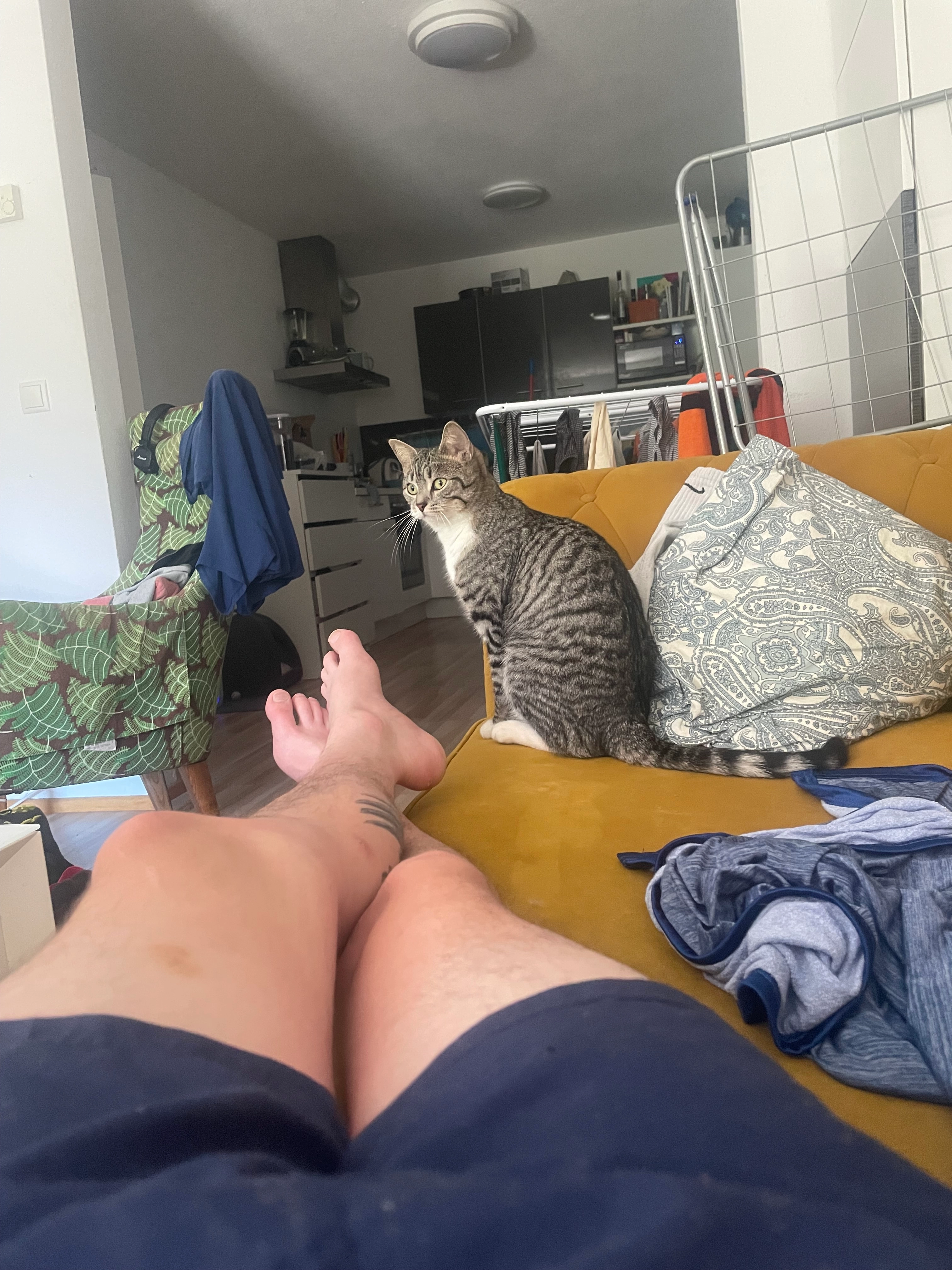 Tsuki aber Kosename Mausi - Höttinger Au, Innsbruck