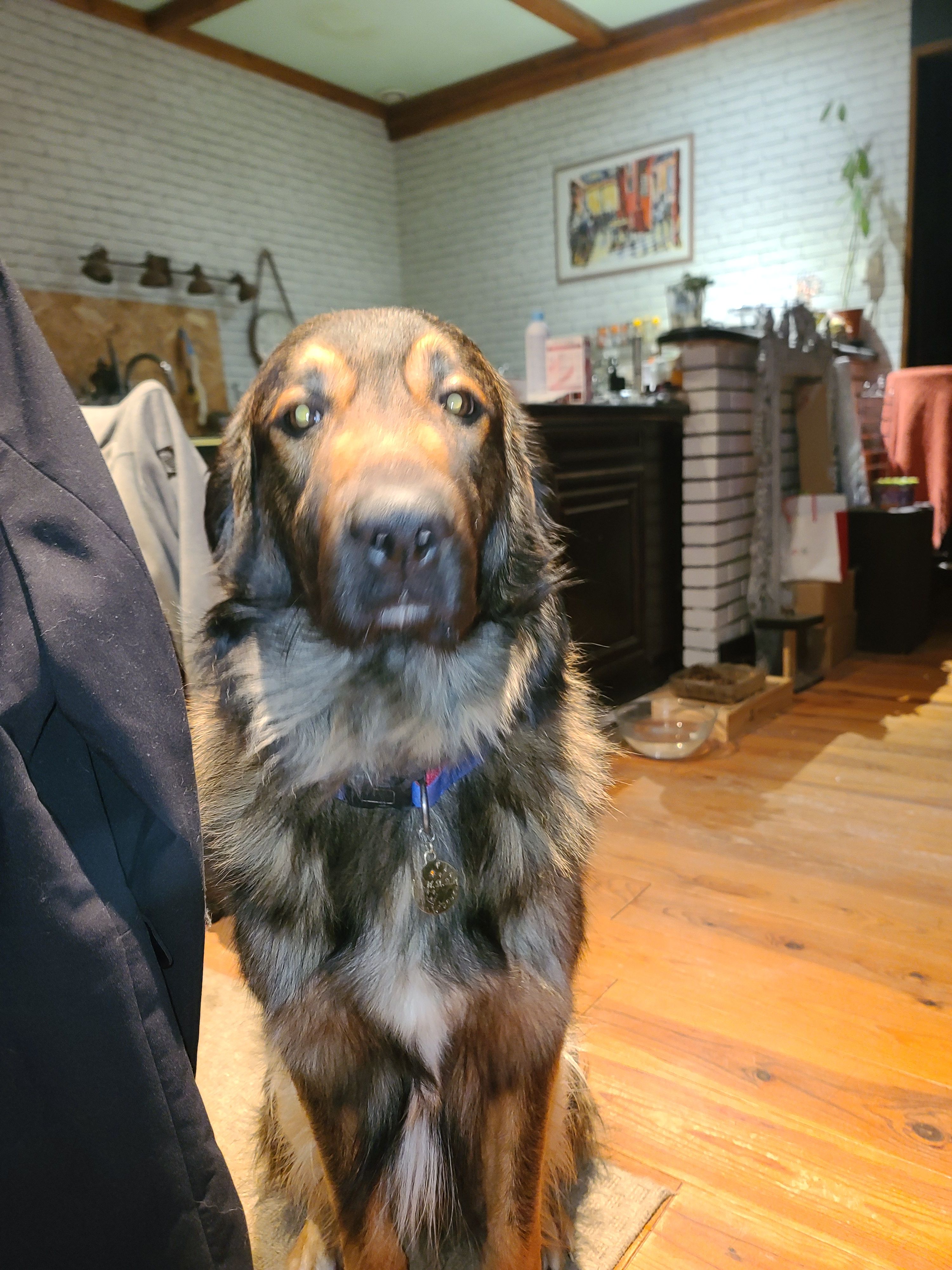 Dough - 66 Impasse des Lavandes, Taponas