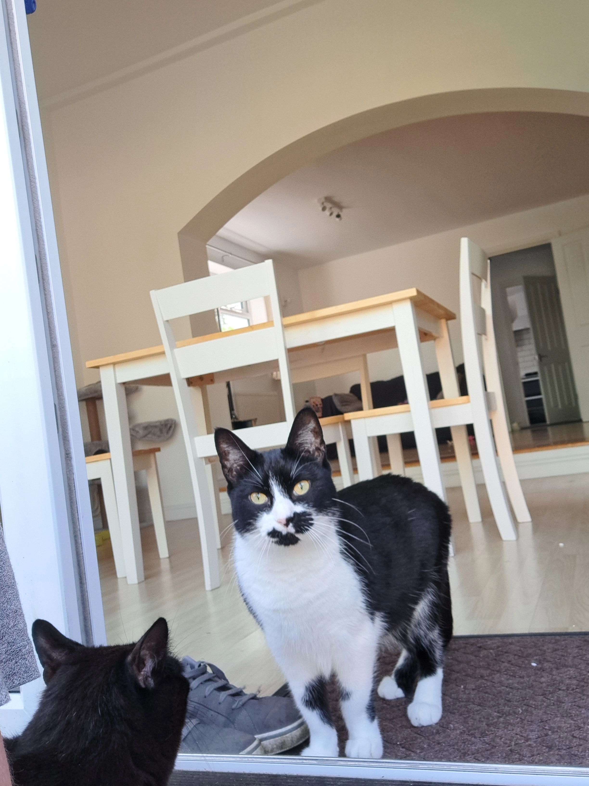 Felyx - South Street, Andover