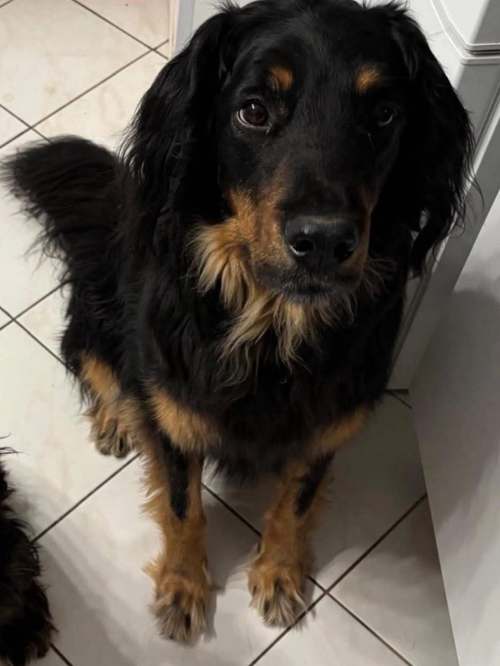 Poker - Rue Des Haies, Saint-Martin-du-Vivier