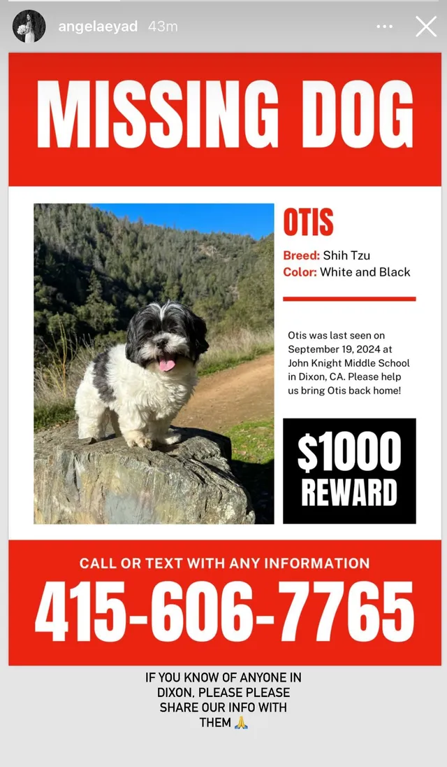 Otis - 455 E A St, Dixon