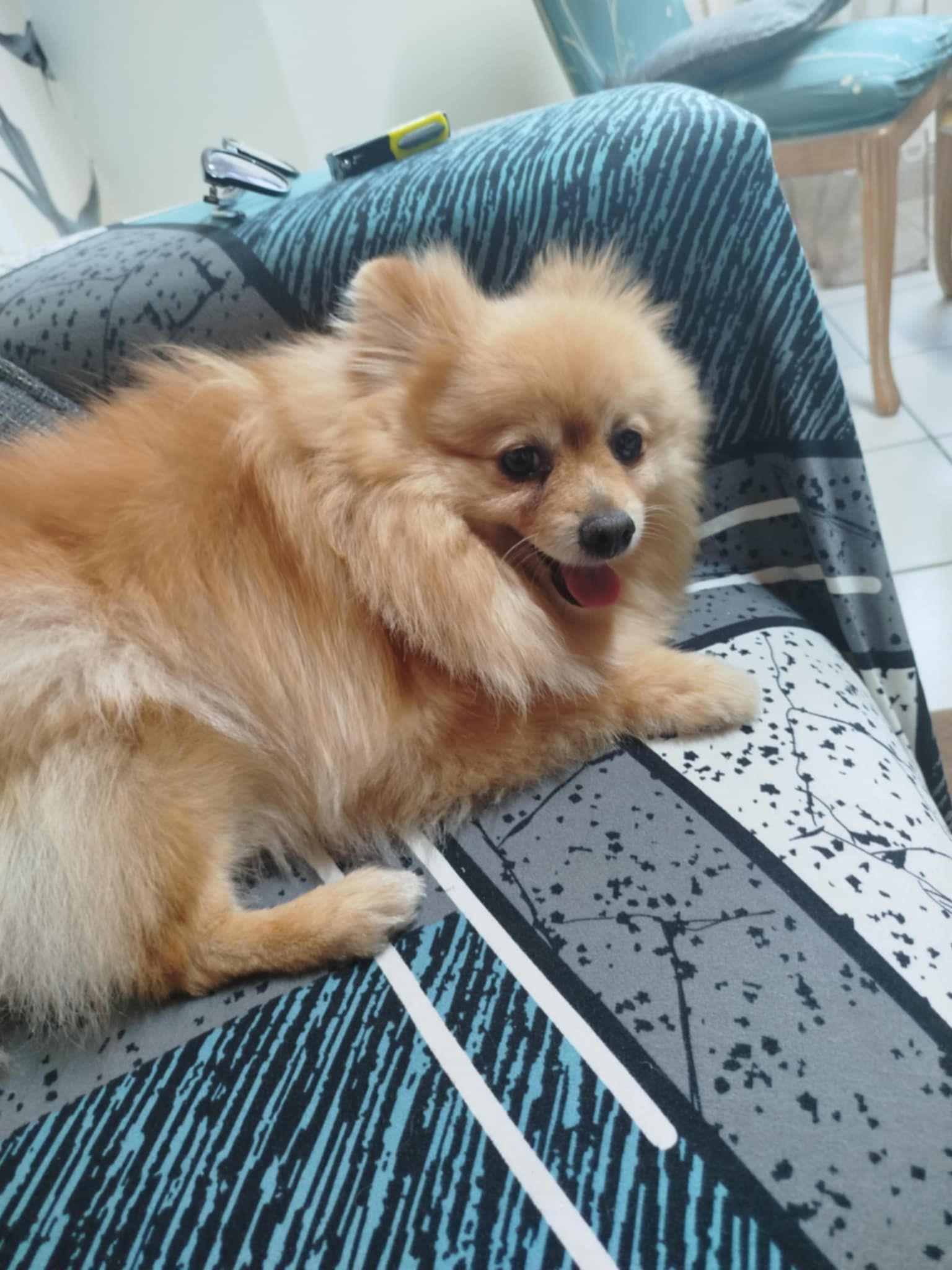 Berfin - Tarwestraat 44, Gent