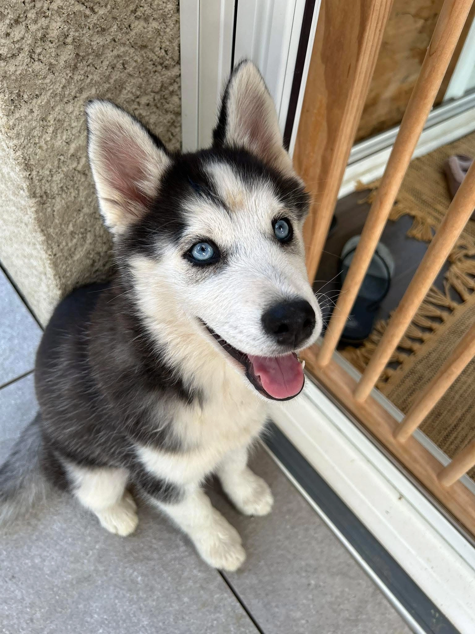 Athena  - Chemin De La Feyta, Monsteroux-Milieu