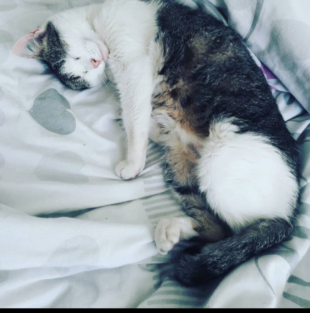 Tita - Rue Ledru Rollin, Cuers