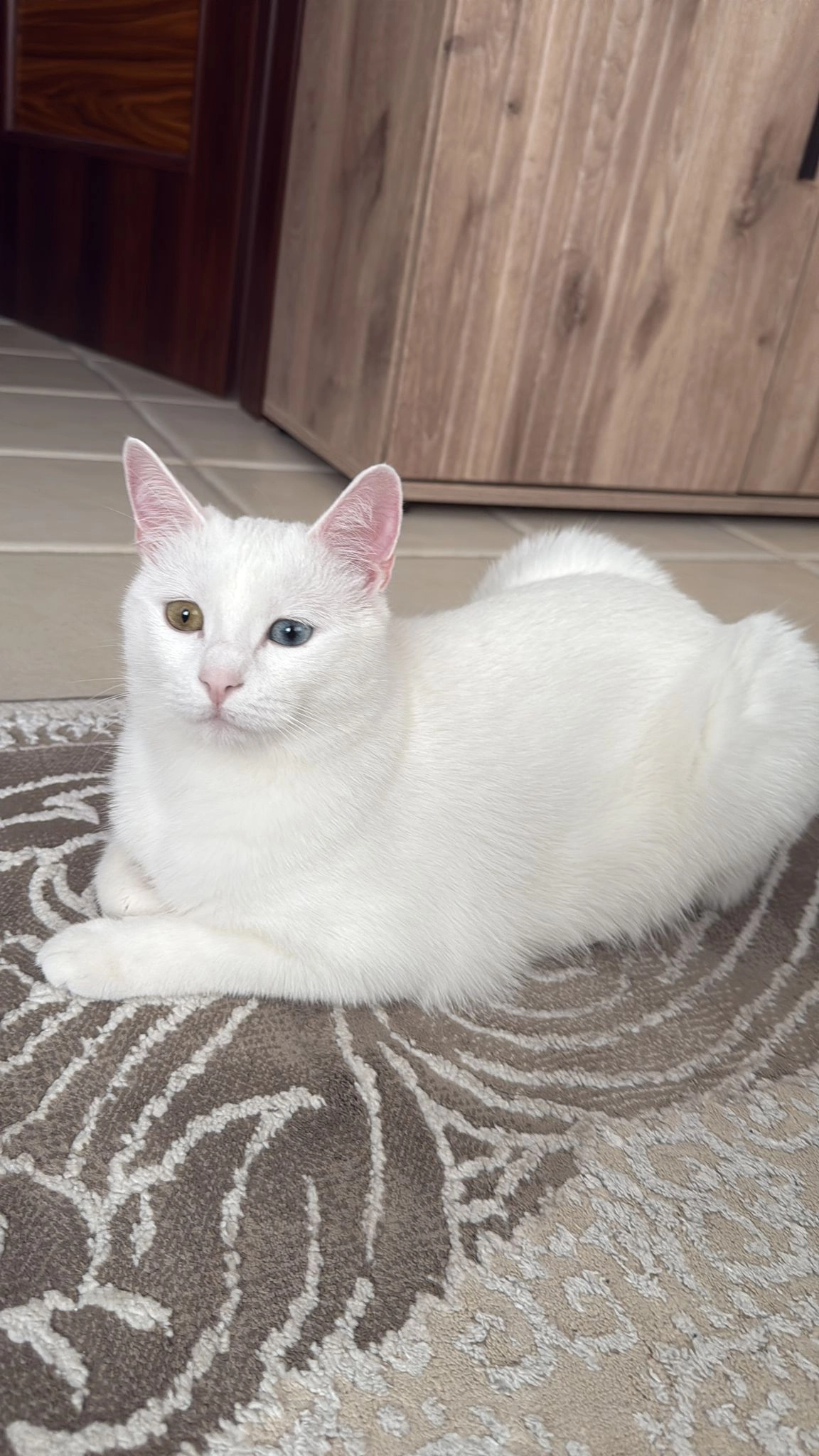 Keine Ahnung  - Jahnstraße, Pforzheim