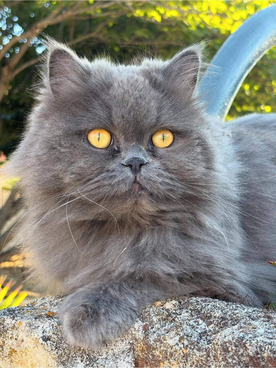 Sao - 30 Chemin de Garons, Manduel